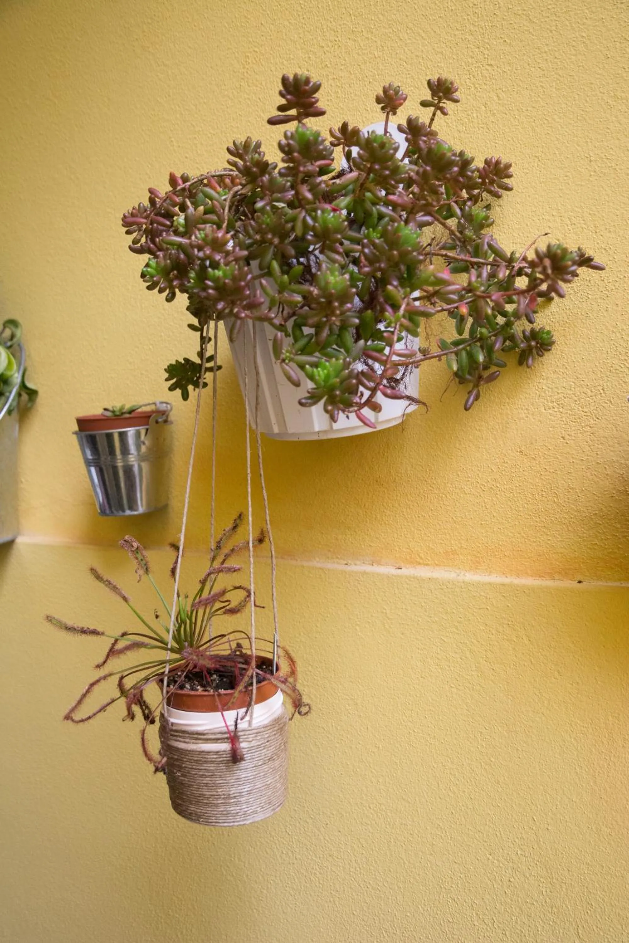 Property building in B&B Annalu'