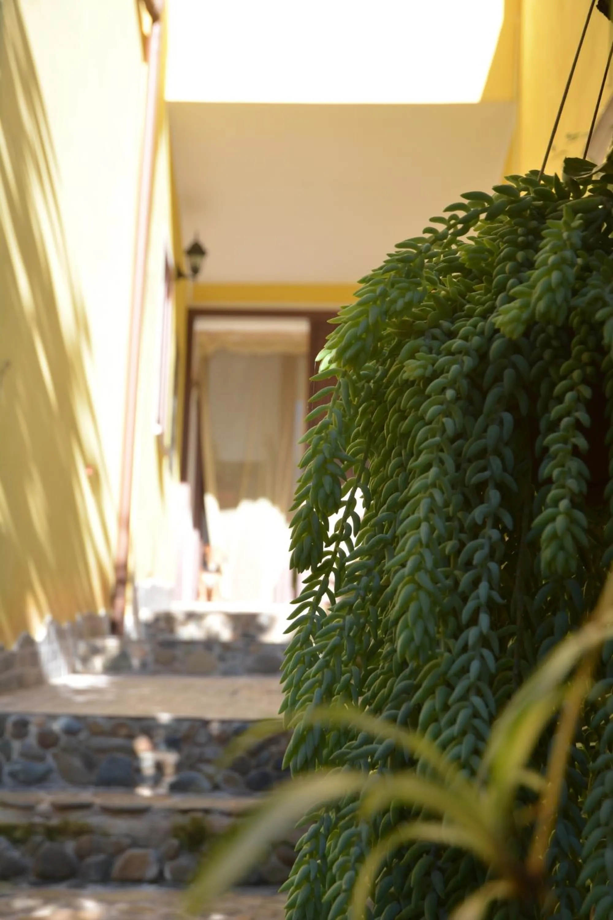 Facade/entrance in B&B Annalu'