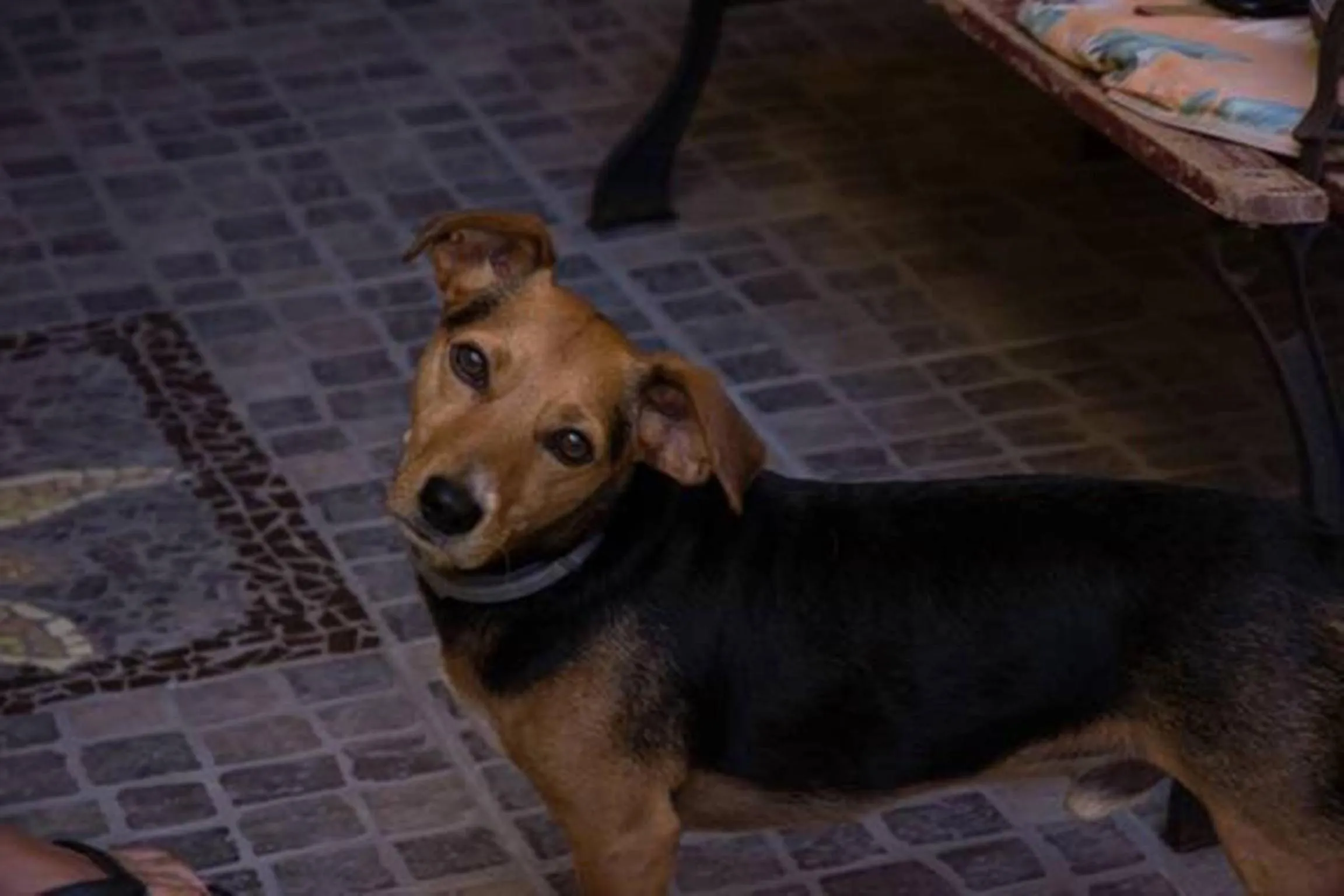 Spring in B&B Annalu'