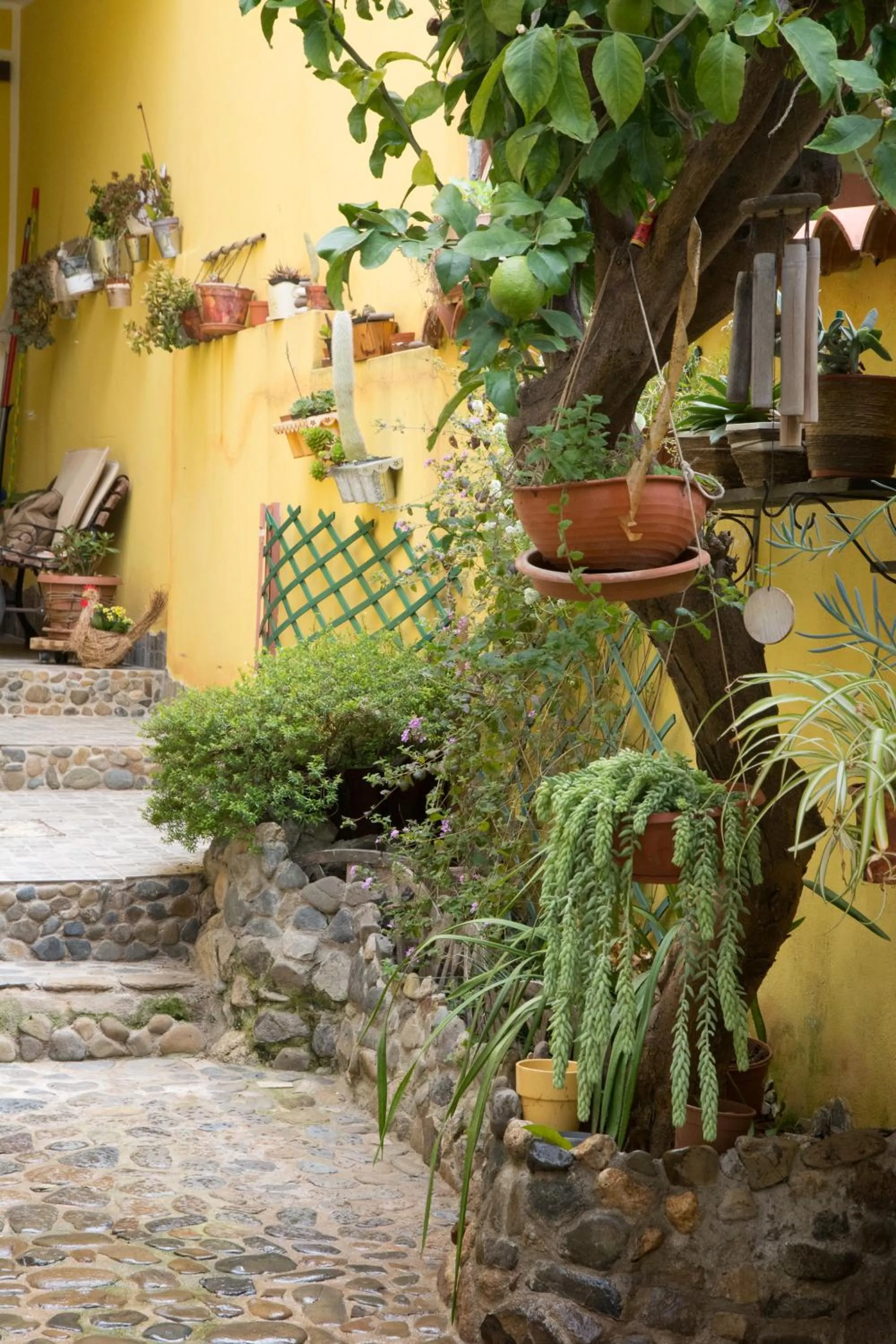 Garden in B&B Annalu'