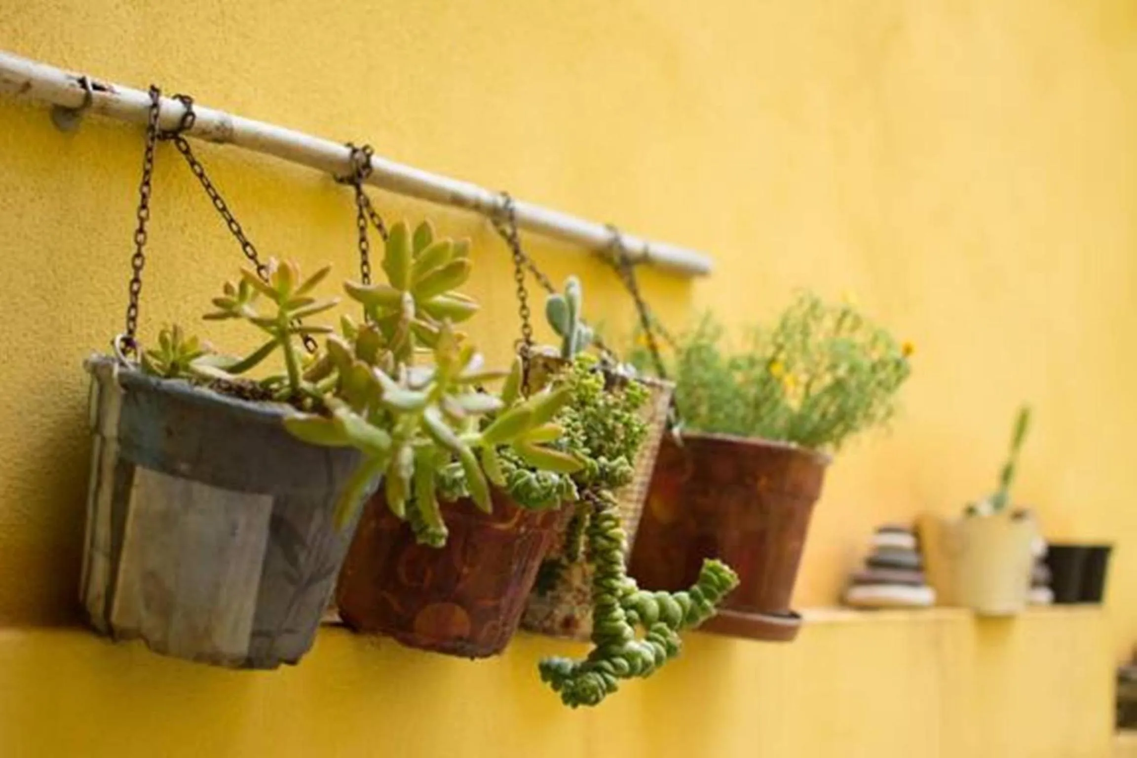 Other in B&B Annalu'