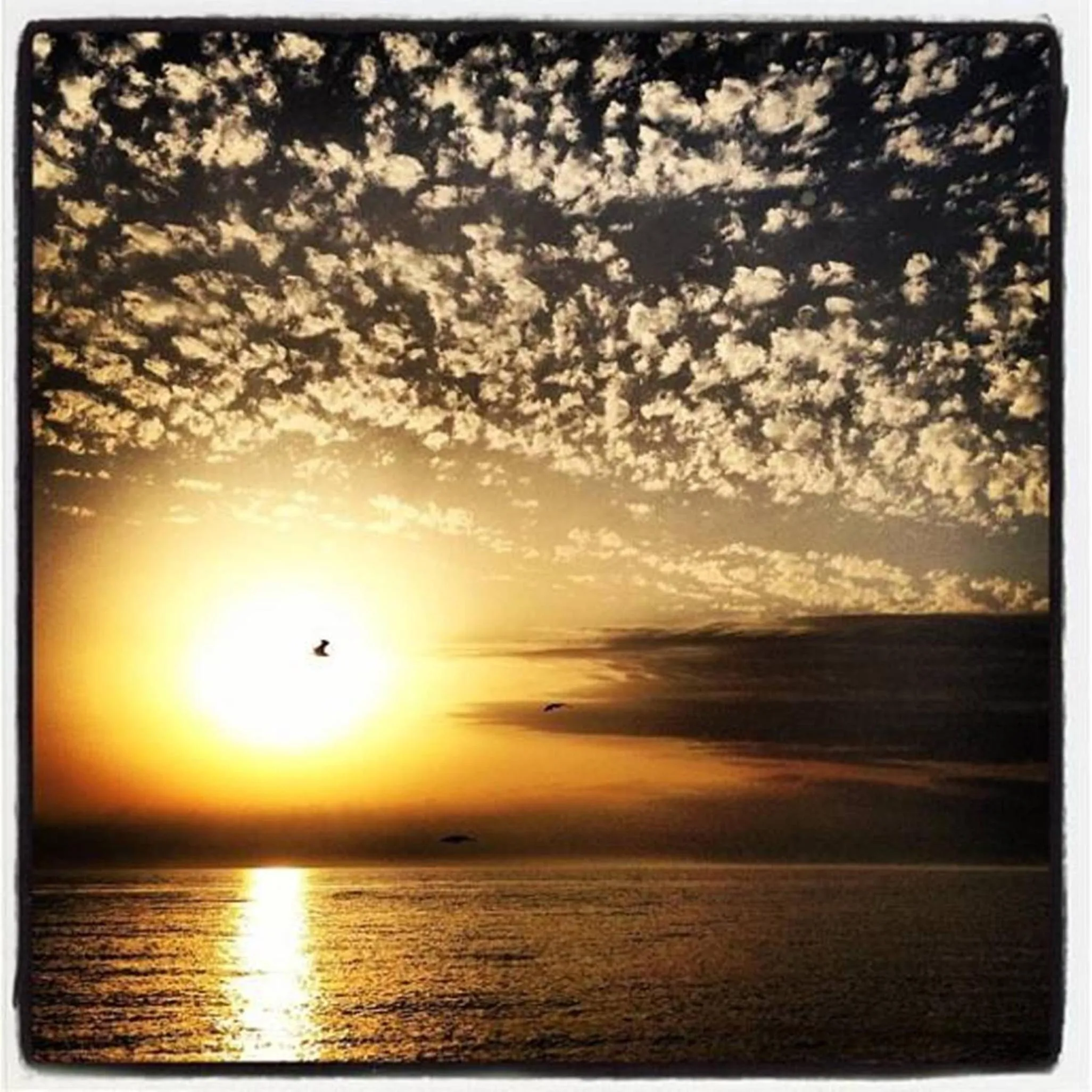 Off site in B&B Annalu'