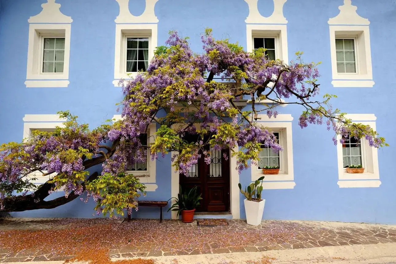 The Blue House The Blue House
