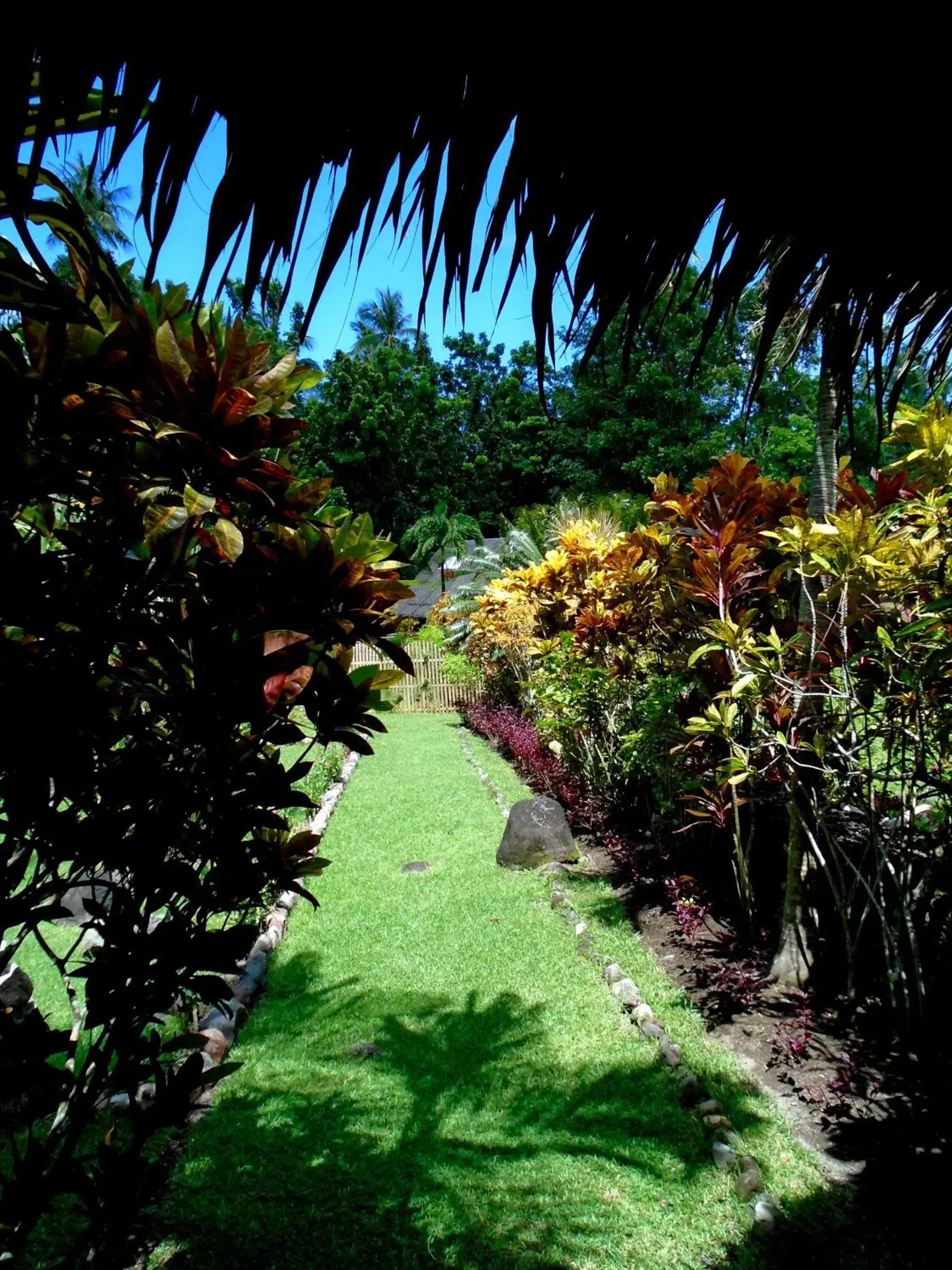 Garden view in Nypa Style Resort Camiguin Garden view in Nypa Style Resort Camiguin