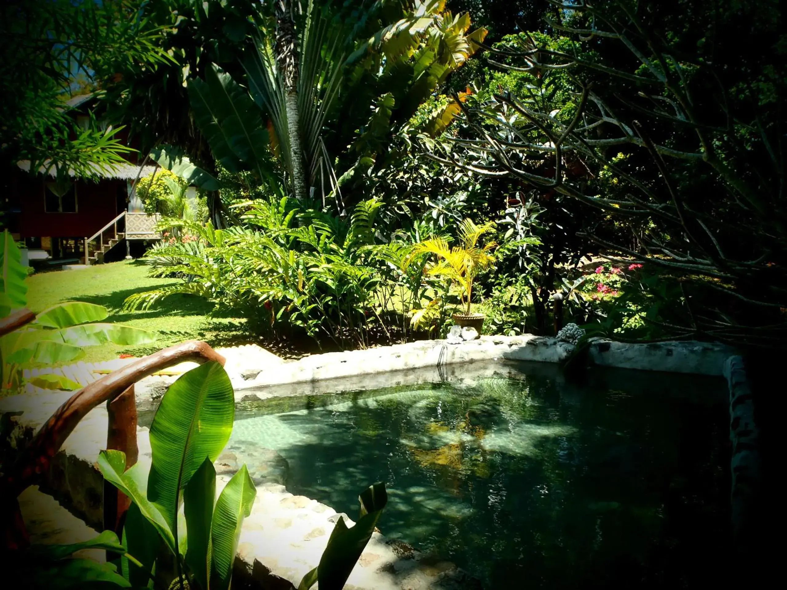 Swimming pool in Nypa Style Resort Camiguin Swimming pool in Nypa Style Resort Camiguin