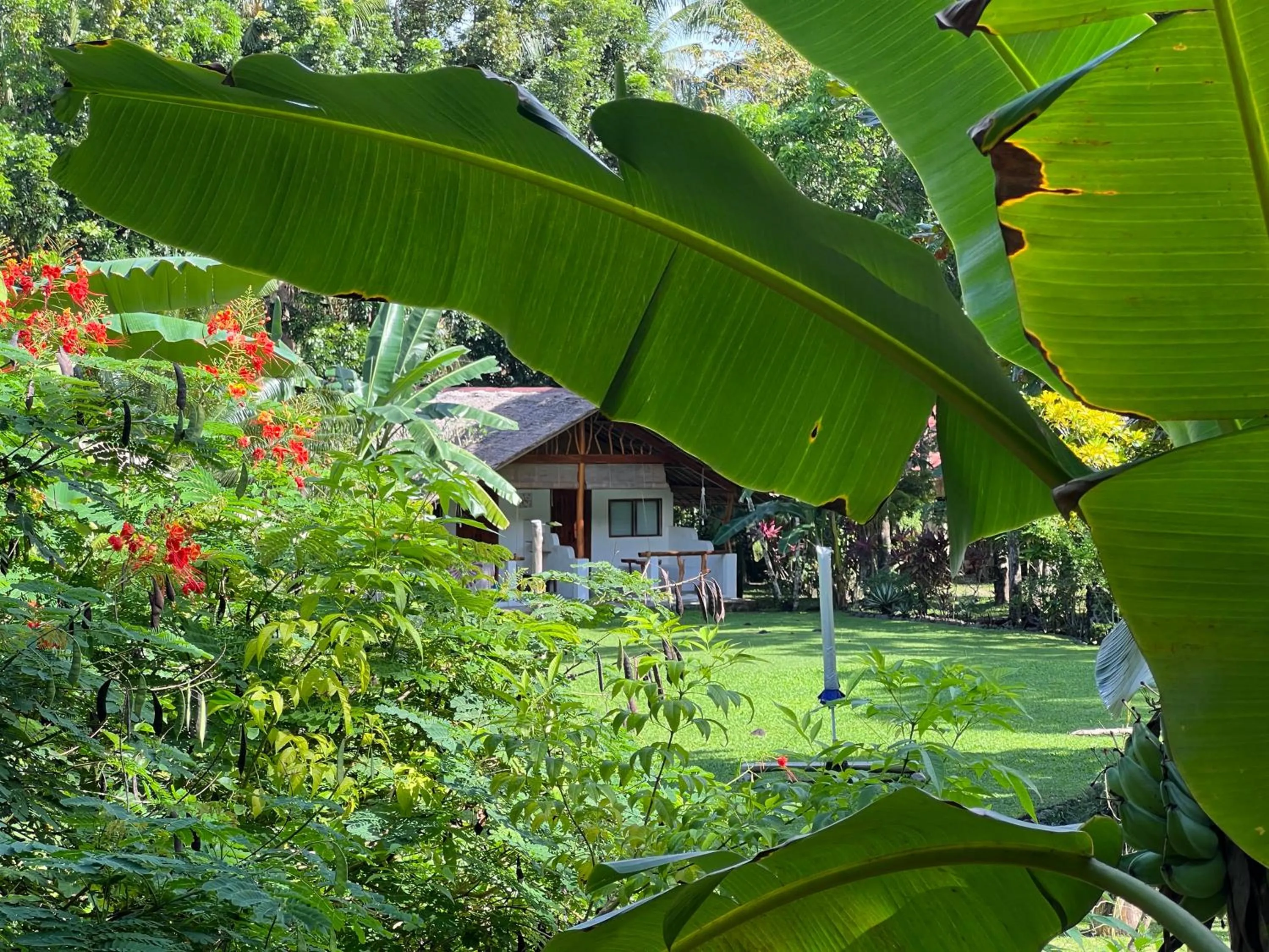 Property building in Nypa Style Resort Camiguin