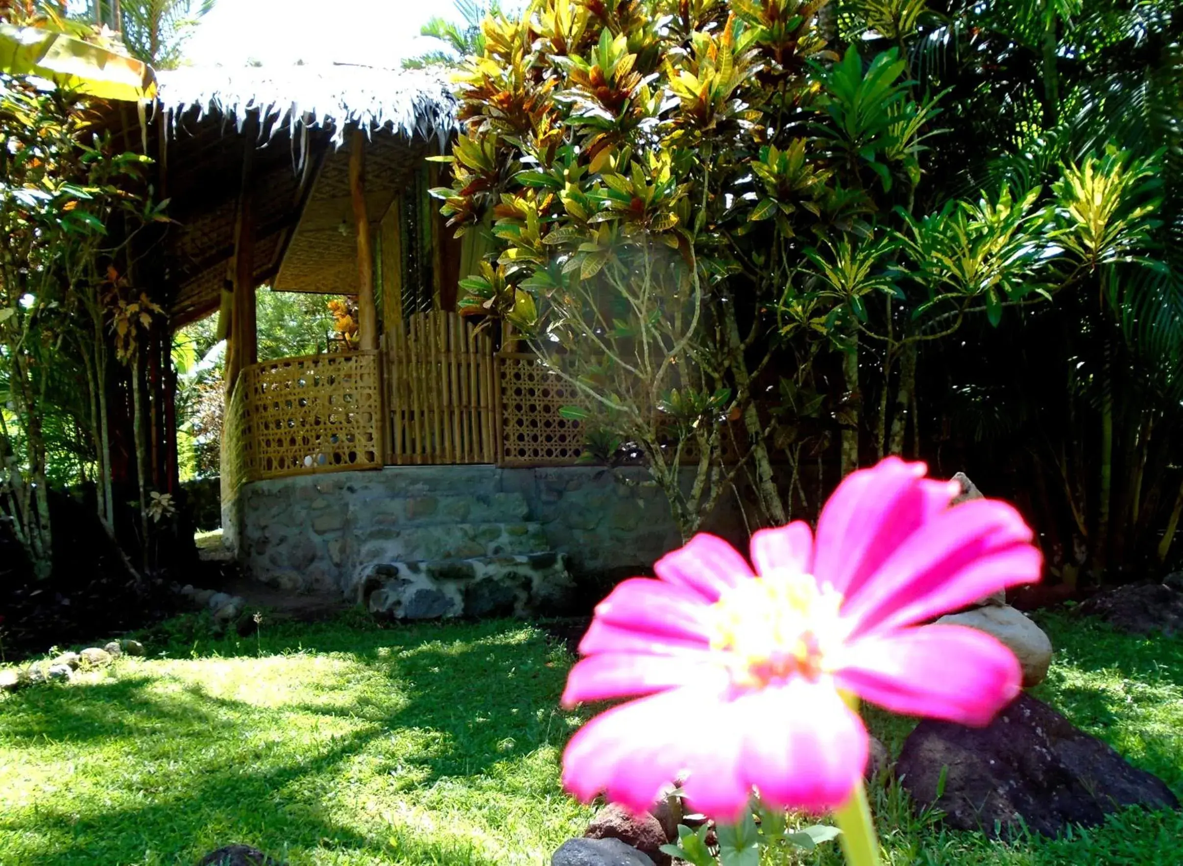 Property building in Nypa Style Resort Camiguin Property building in Nypa Style Resort Camiguin