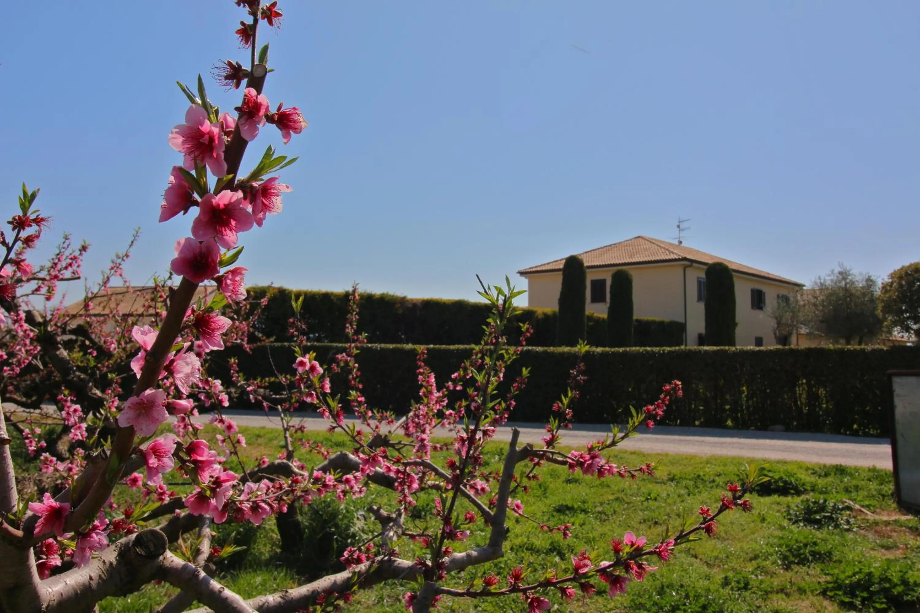 Portasirena Agriturismo