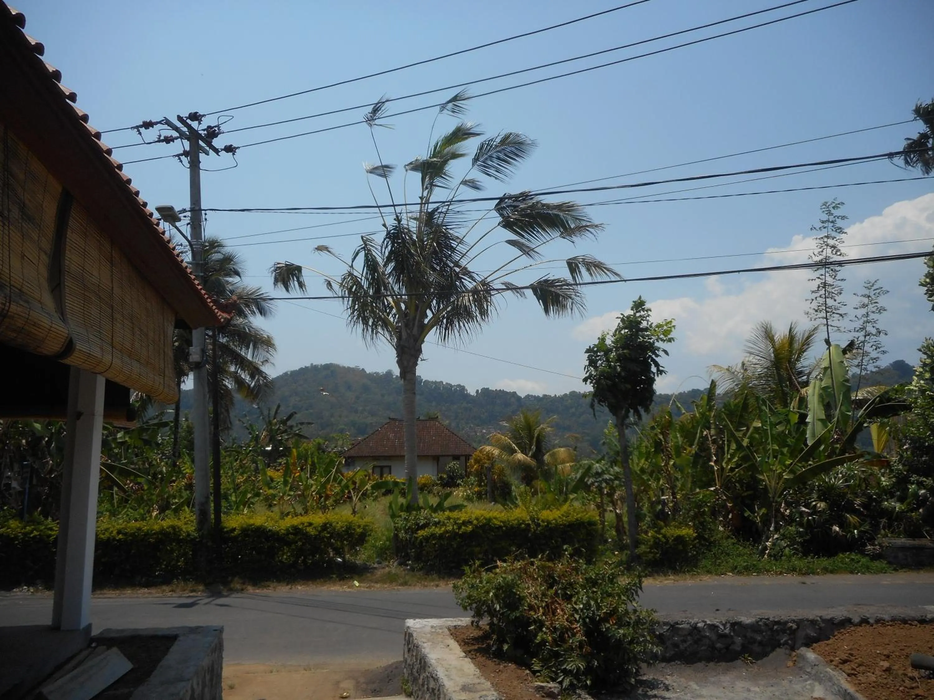 Lila Stana - Sidemen Homestay