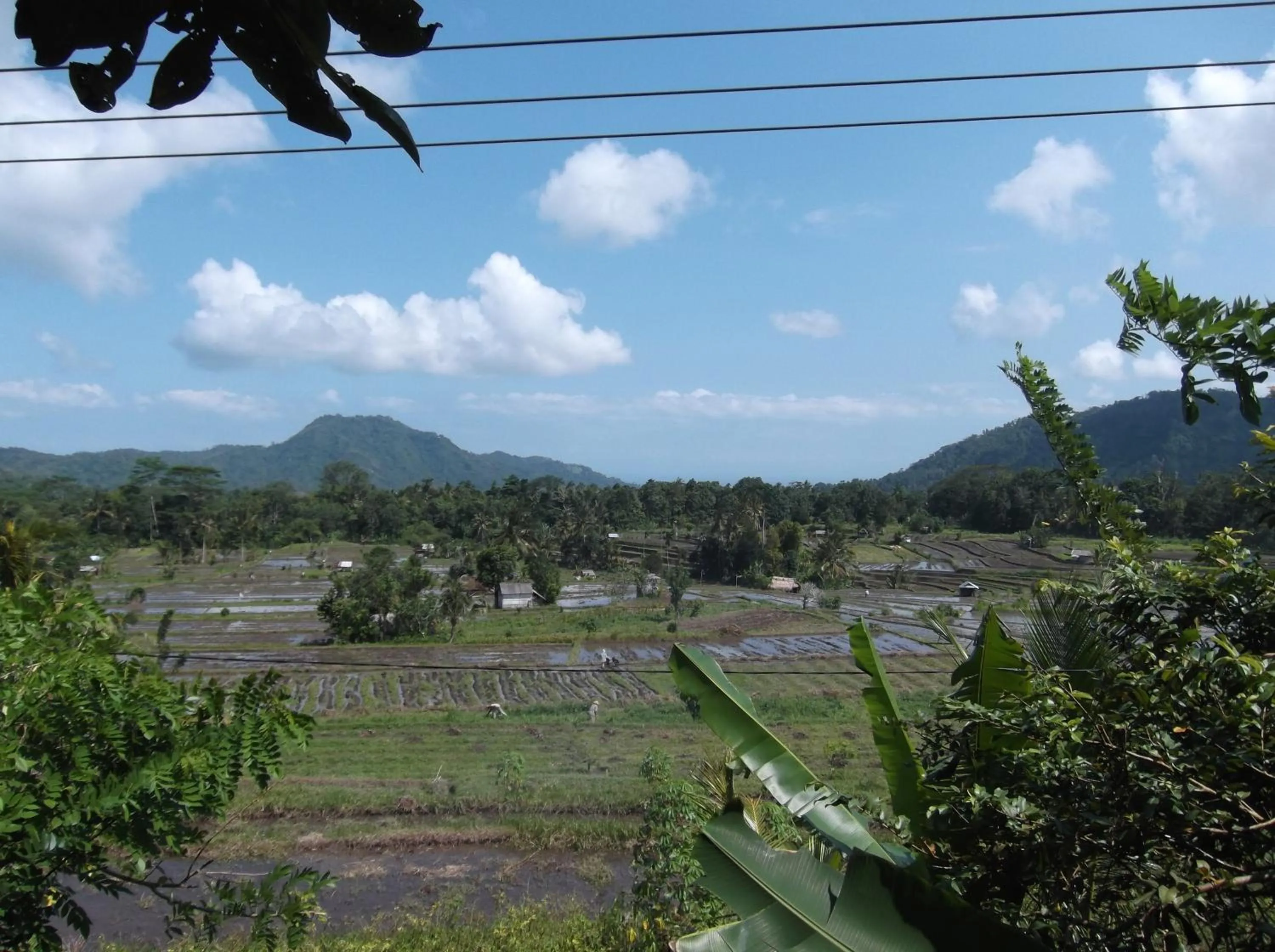 Natural landscape in Lila Stana - Sidemen Homestay