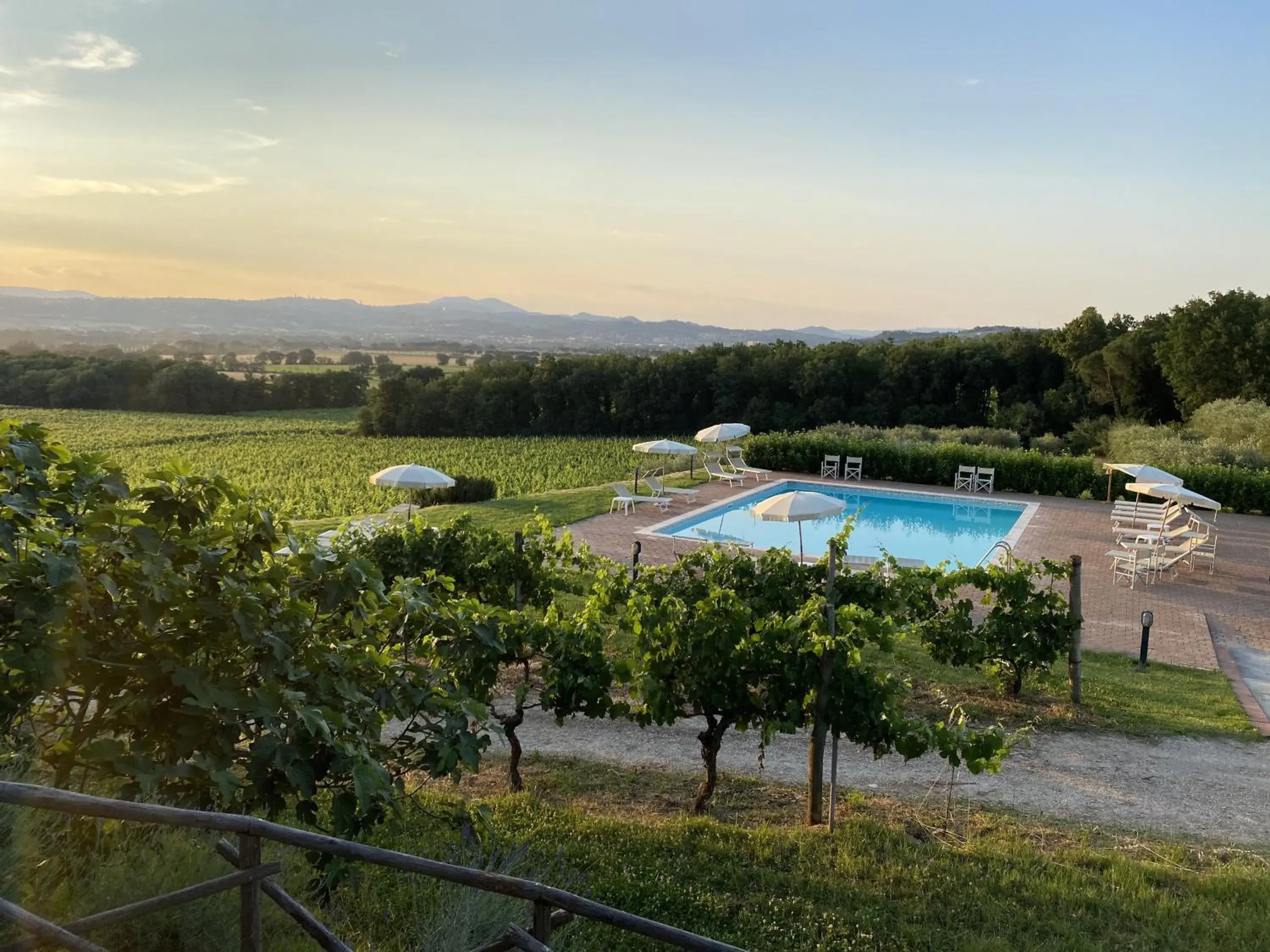 Poggio alle Vigne Poggio alle Vigne