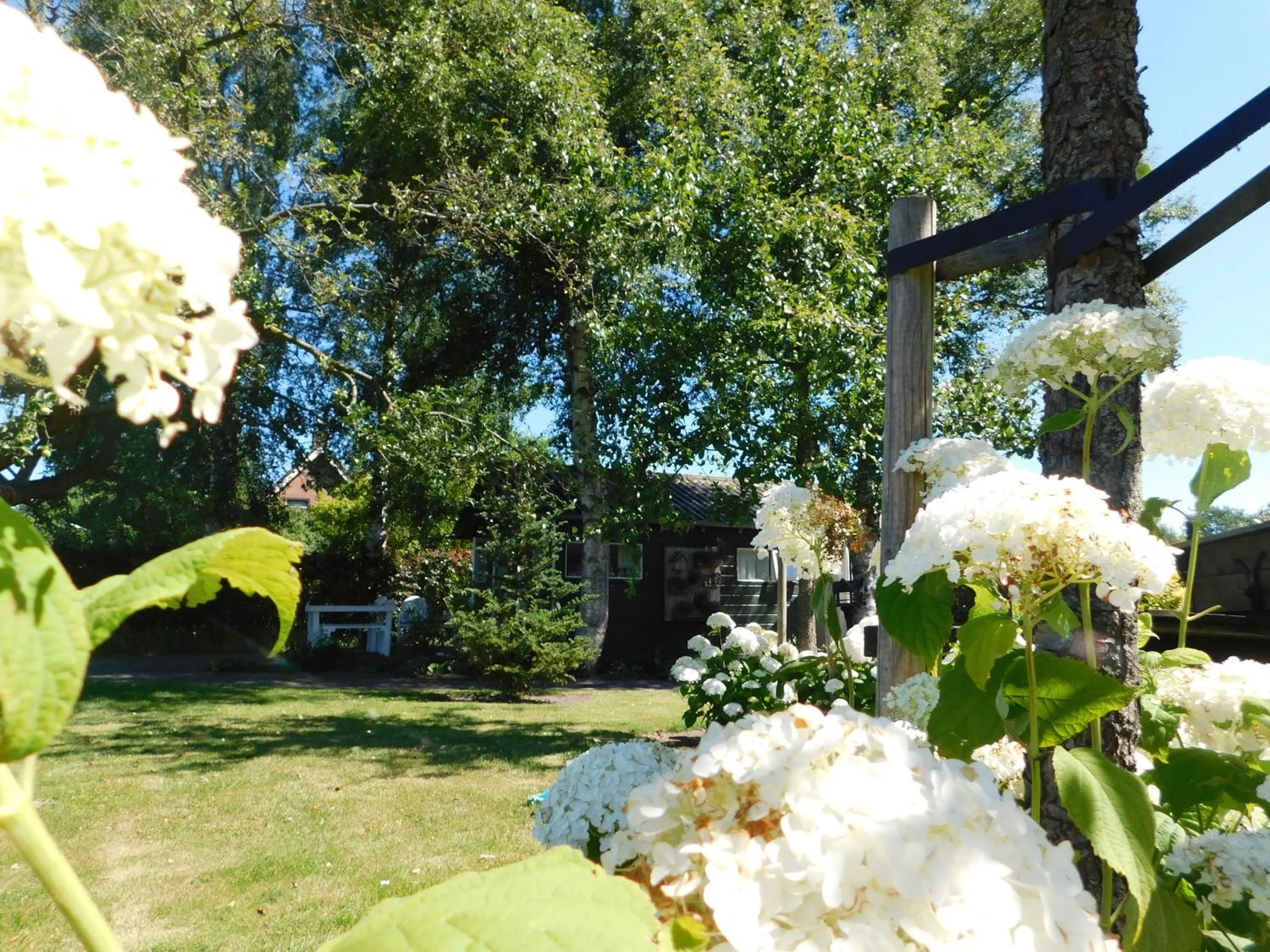 Garden view in De Veldeling
