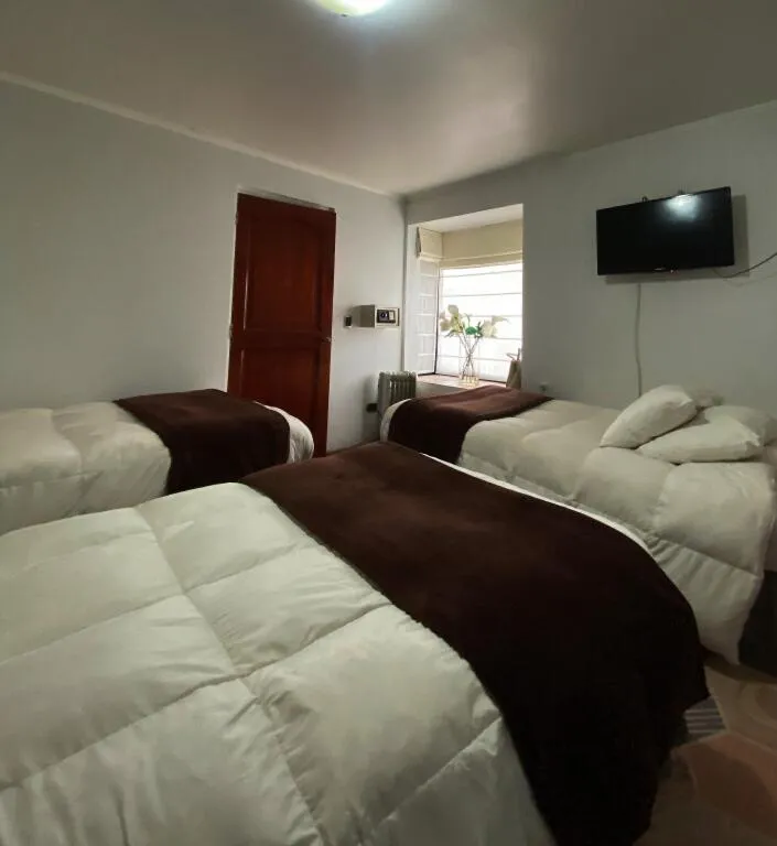 Triple Room with Private Bathroom in Hostal Dinamarca