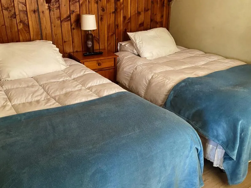 Twin Room - single occupancy in Hostal Dinamarca