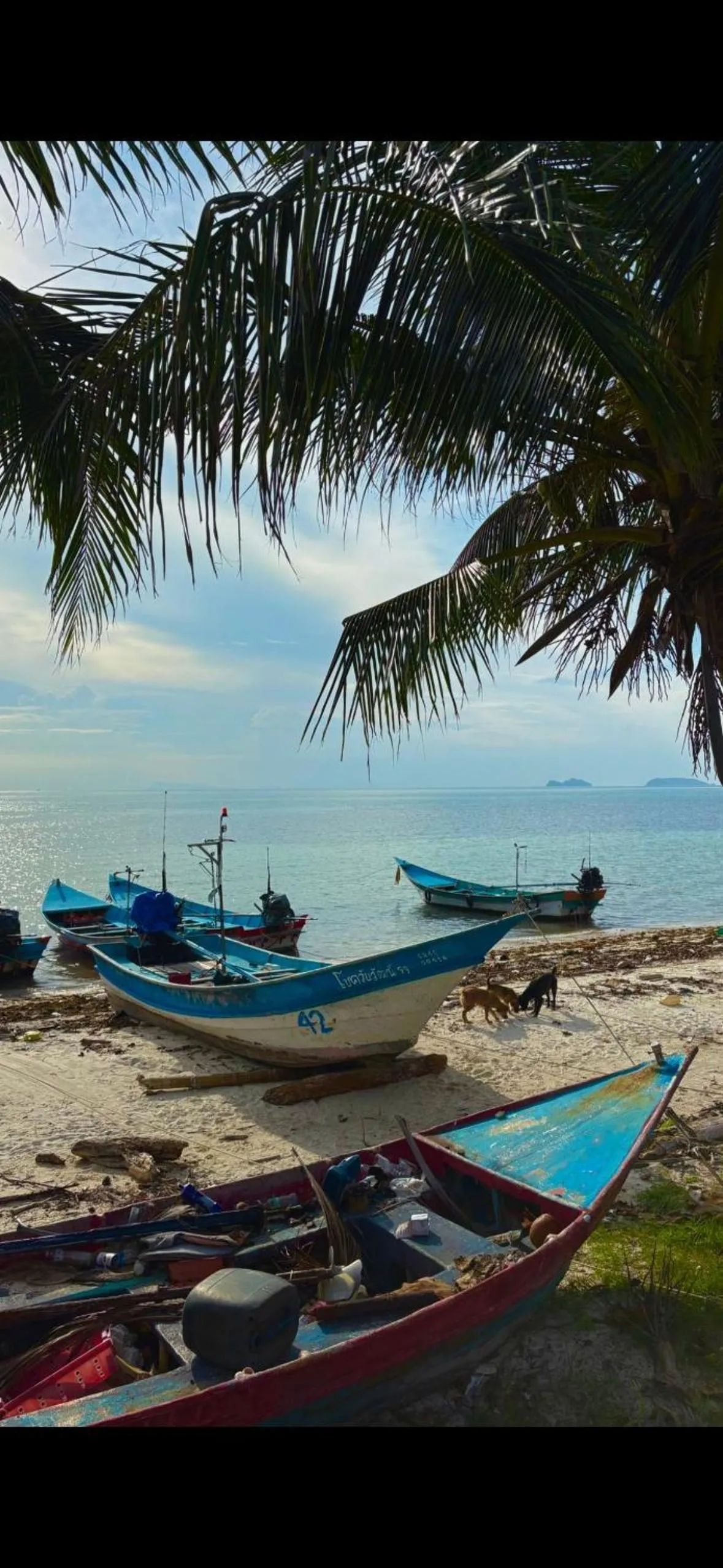 Sea view in Friendly Resort