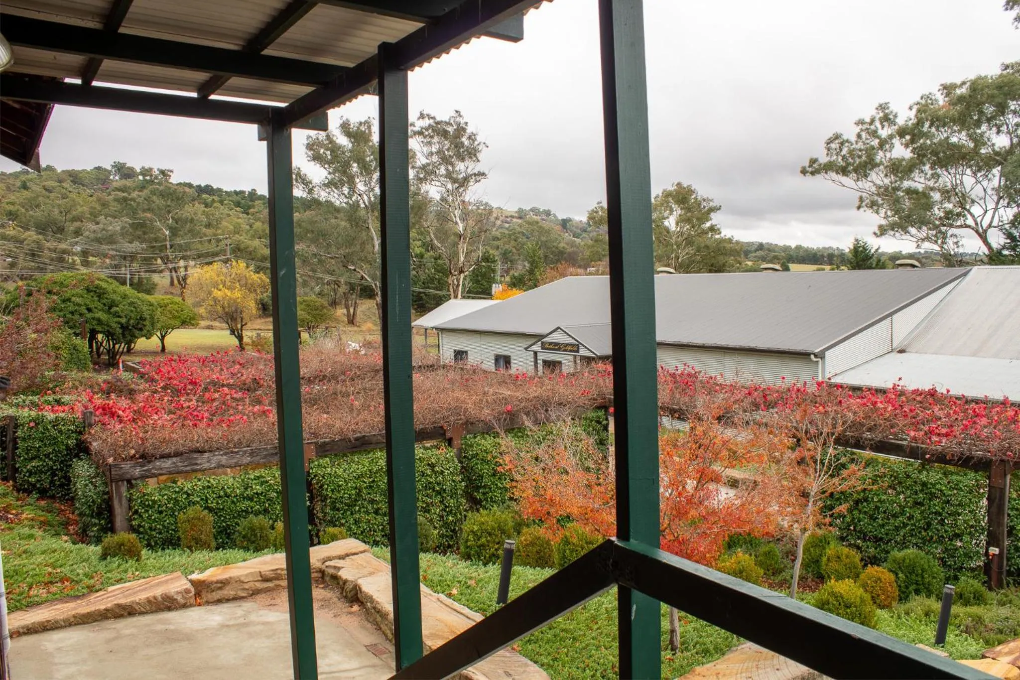 Garden view in BATHURST GOLDFIELDS MOTEL at 428 CONROD STRAIGHT MOUNT PANORAMA