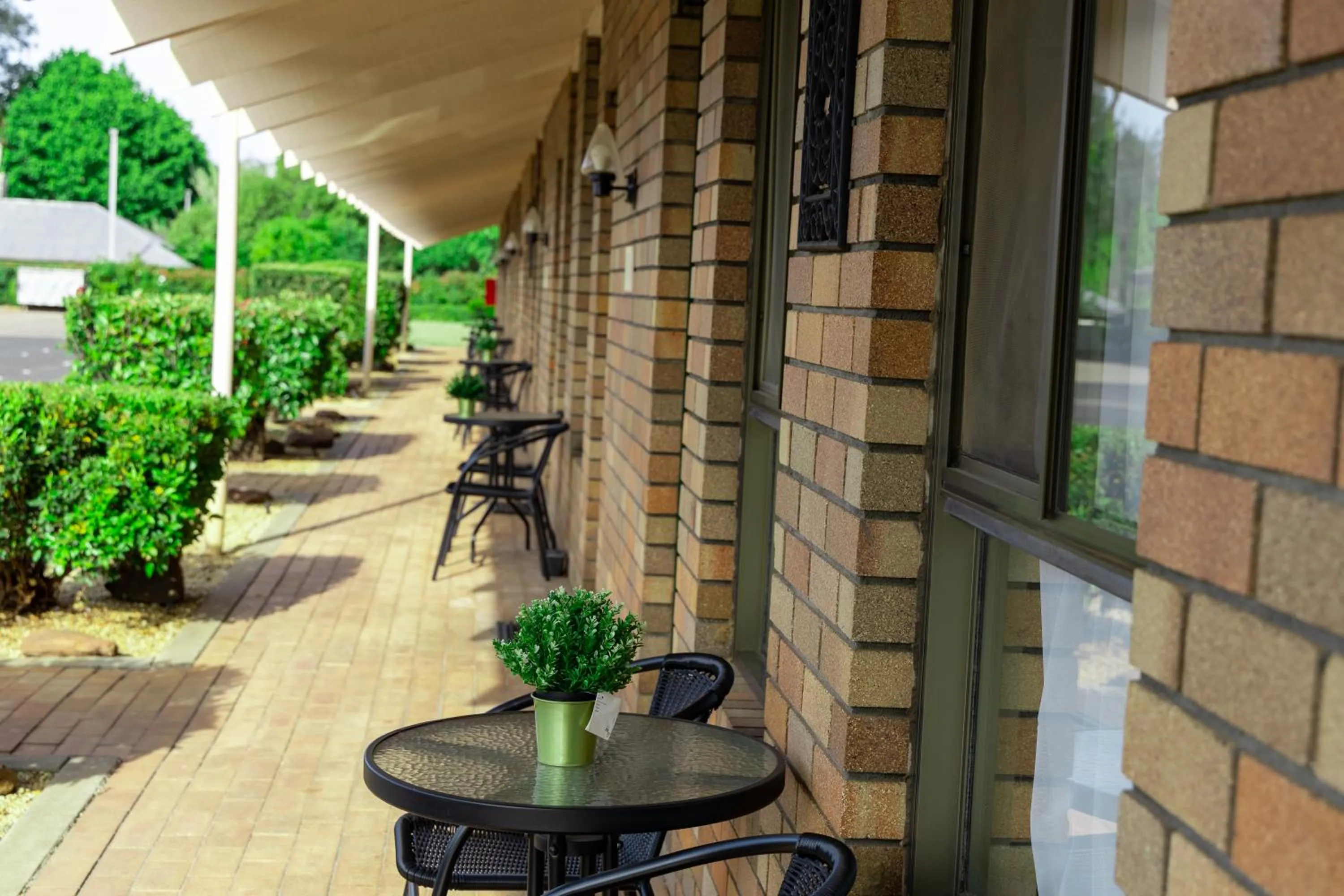 Garden in All Travellers Motor Inn