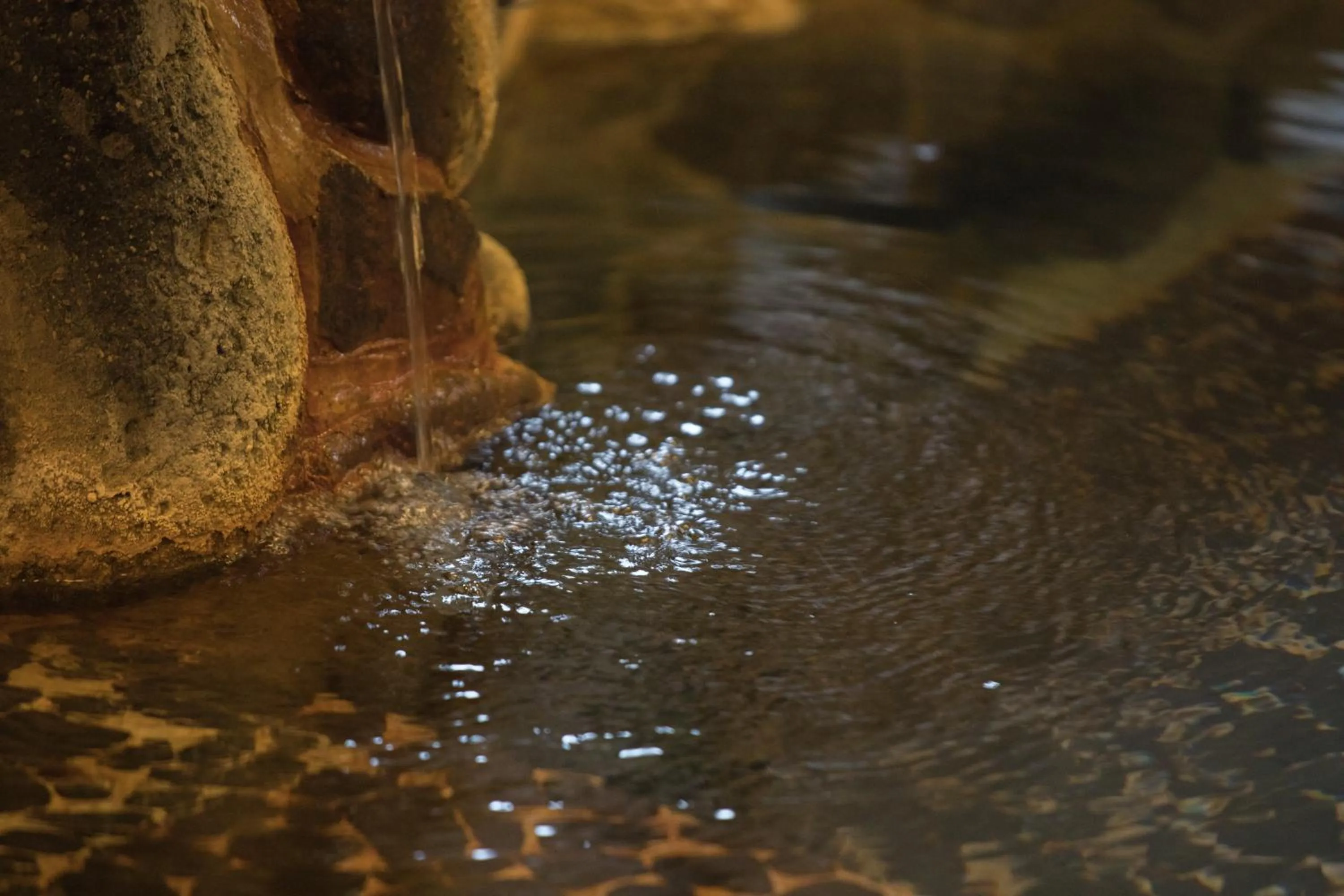 Hot Spring Bath in Yoshino