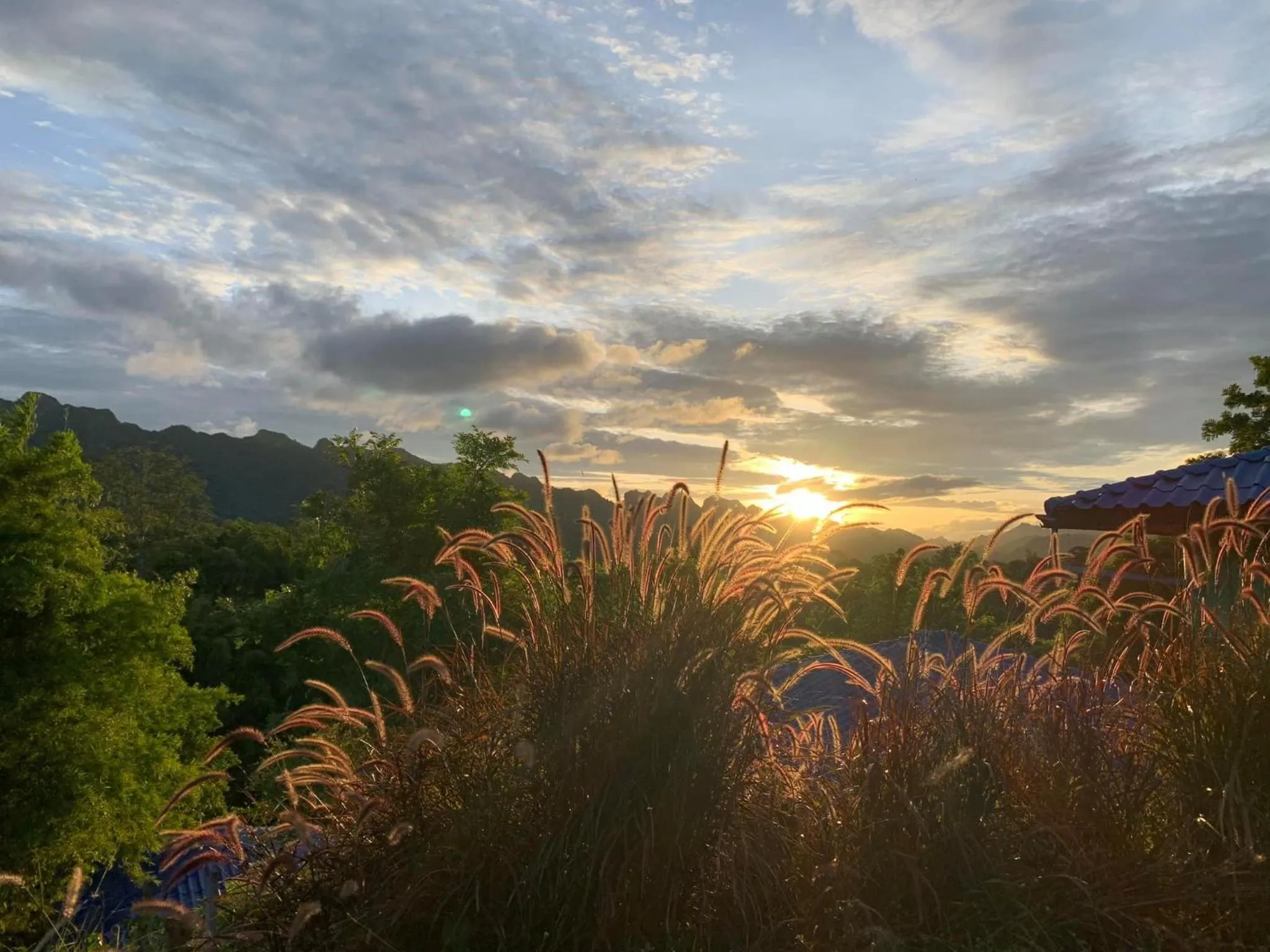 Garden in Star Hill River Kwai Resort