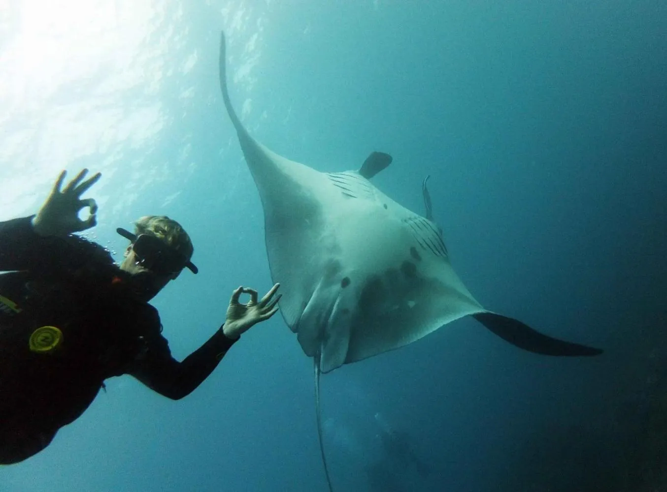 Diving in The Cozy Villas Lembongan