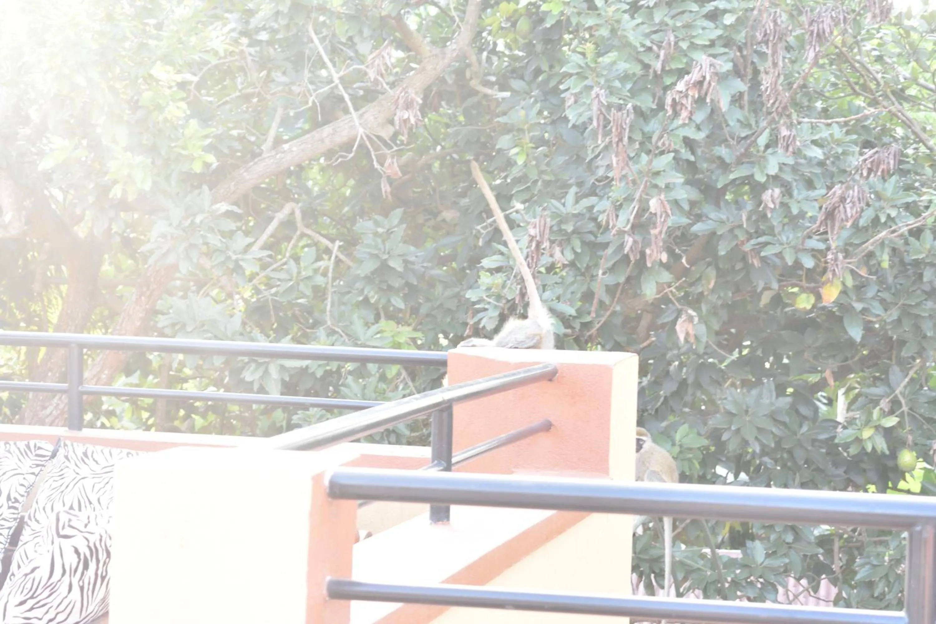 Secrets Guest House