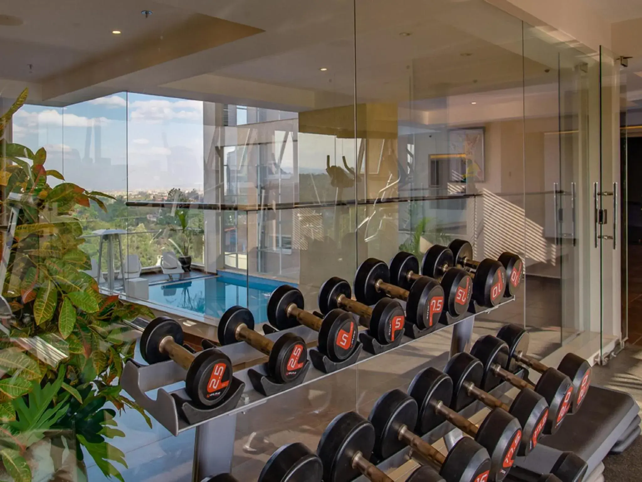 Fitness centre/facilities in The Concord Hotel & Suites Fitness centre/facilities in The Concord Hotel & Suites