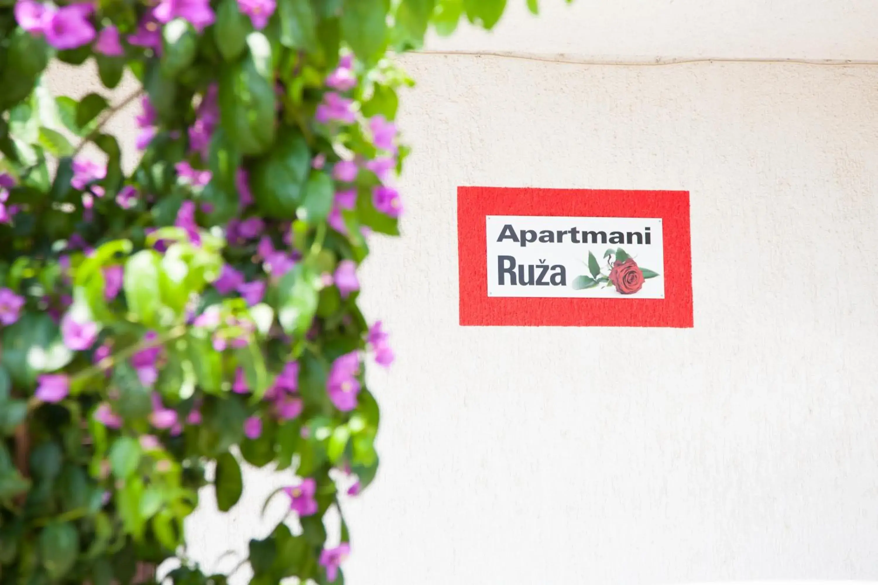 Apartments Ruza Apartments Ruza