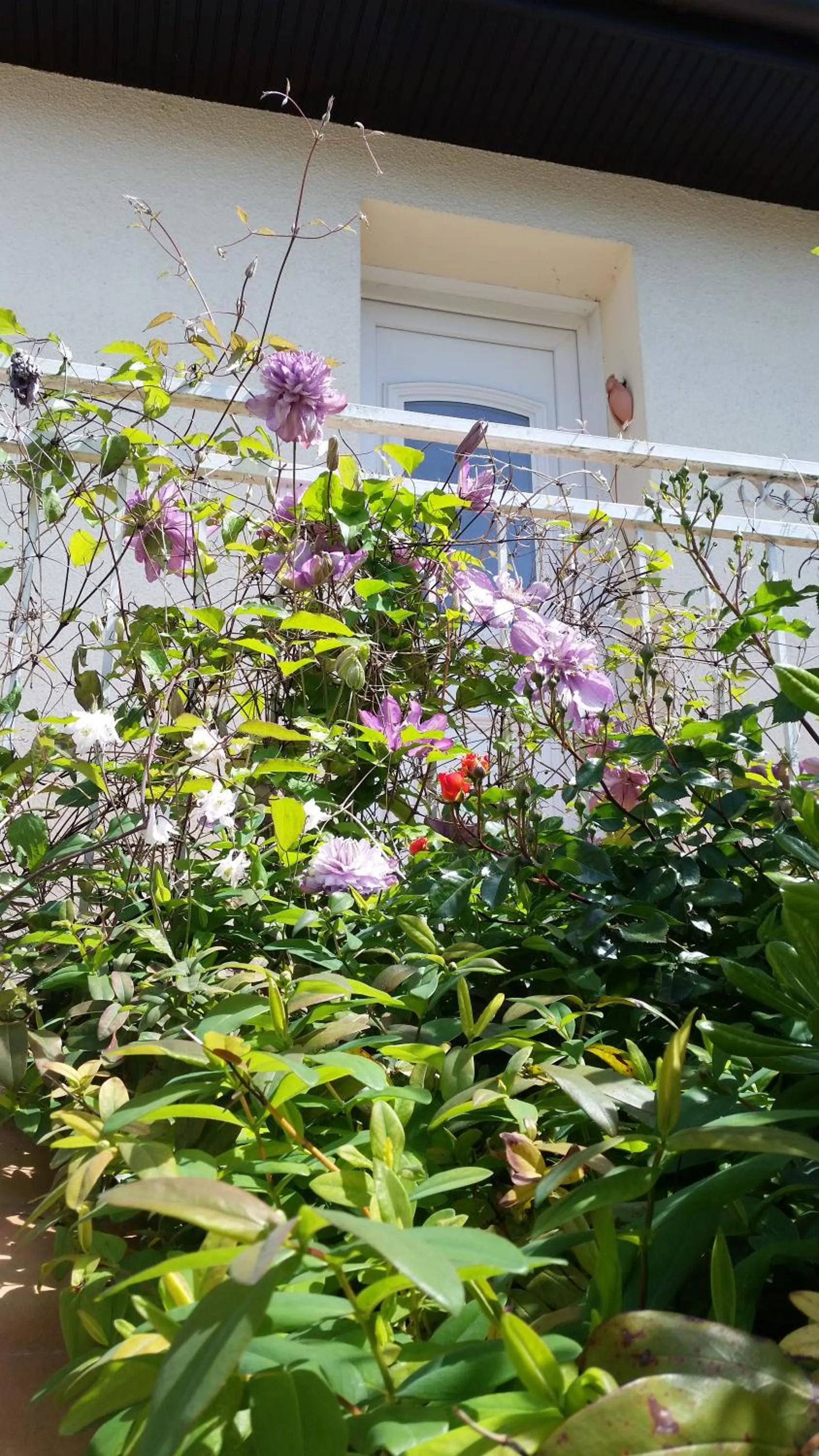 Facade/entrance in Chambre Avec Jardin Pierre Curie