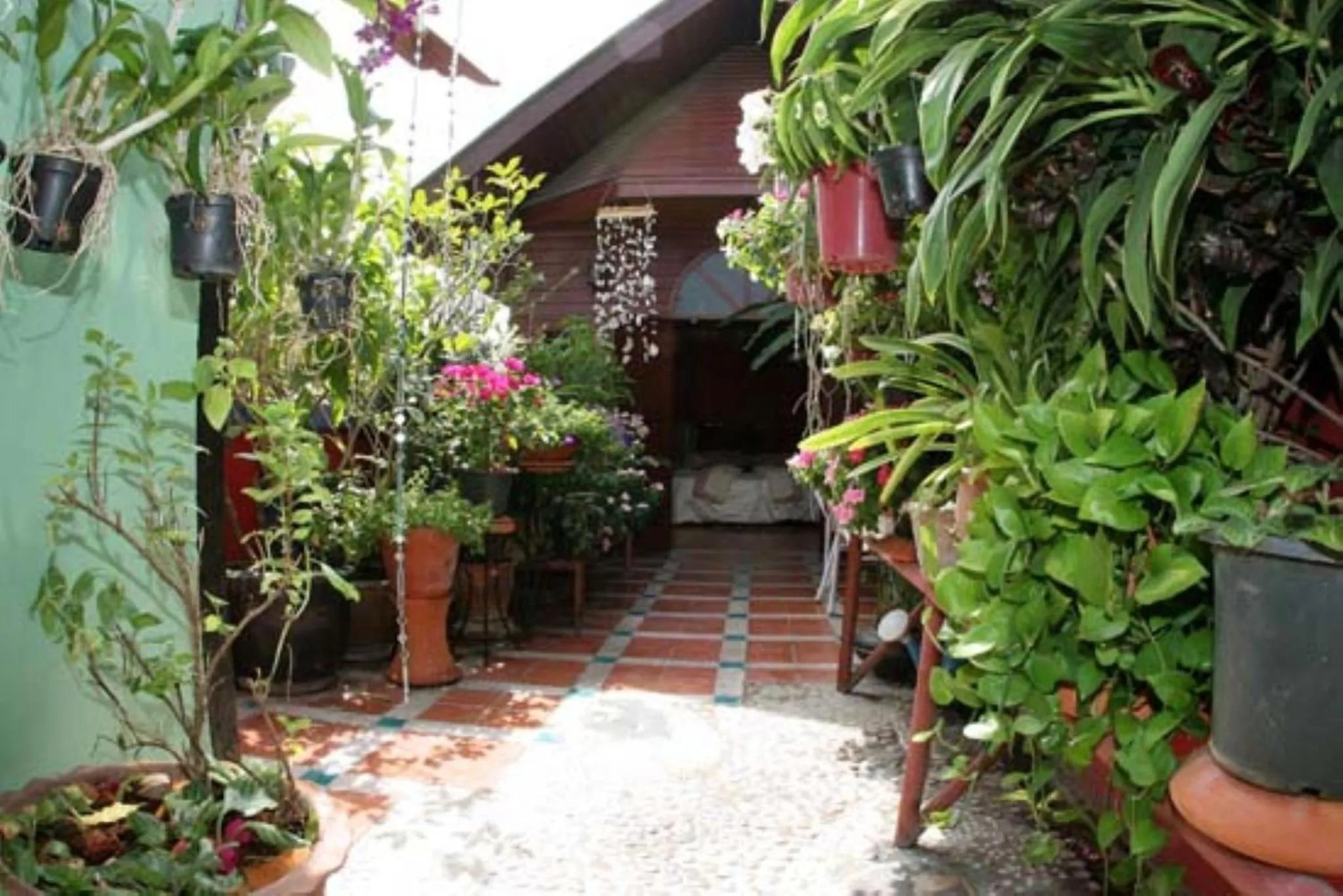 Garden in Shanti Lodge