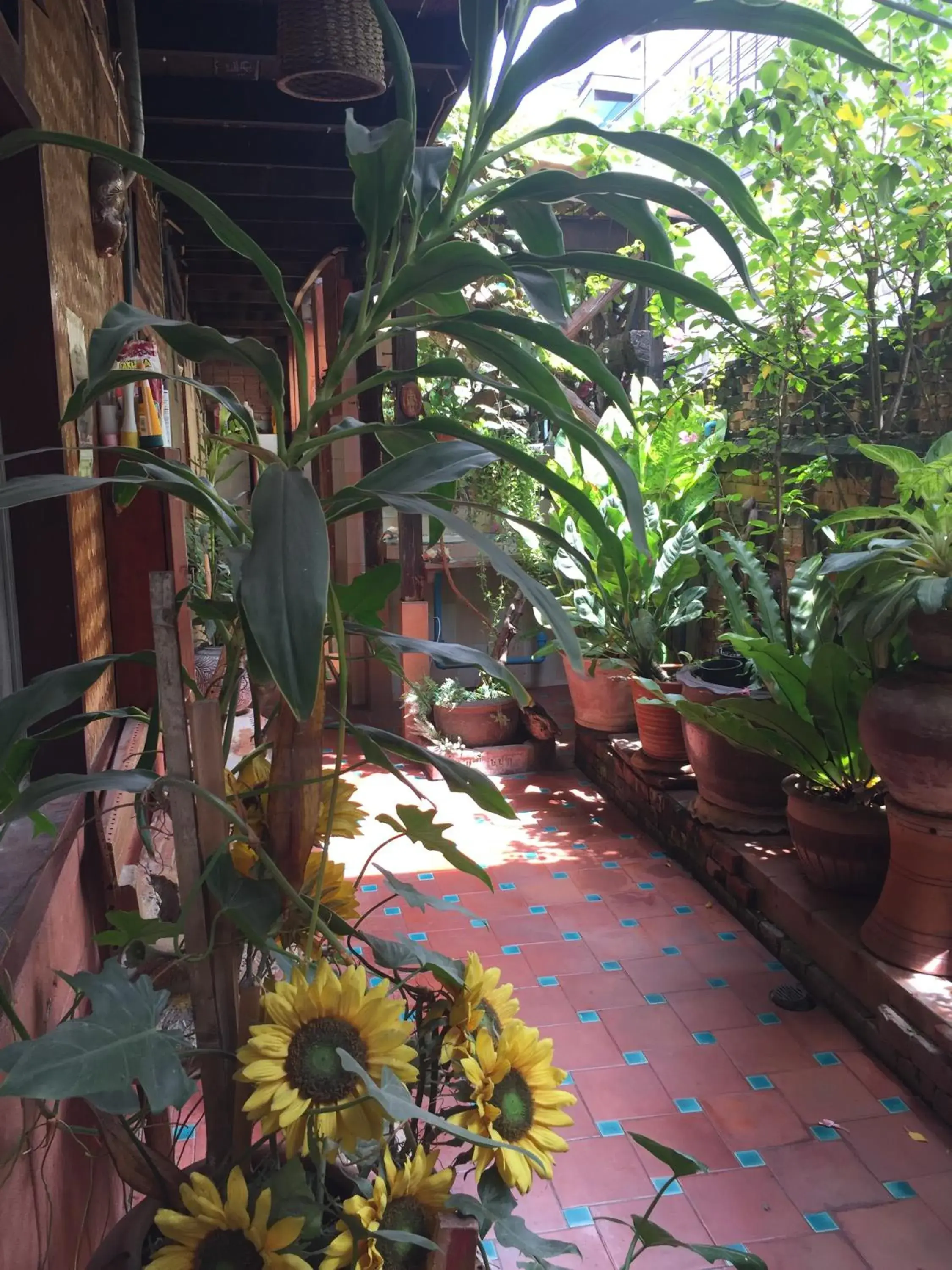 Property building in Shanti Lodge Property building in Shanti Lodge