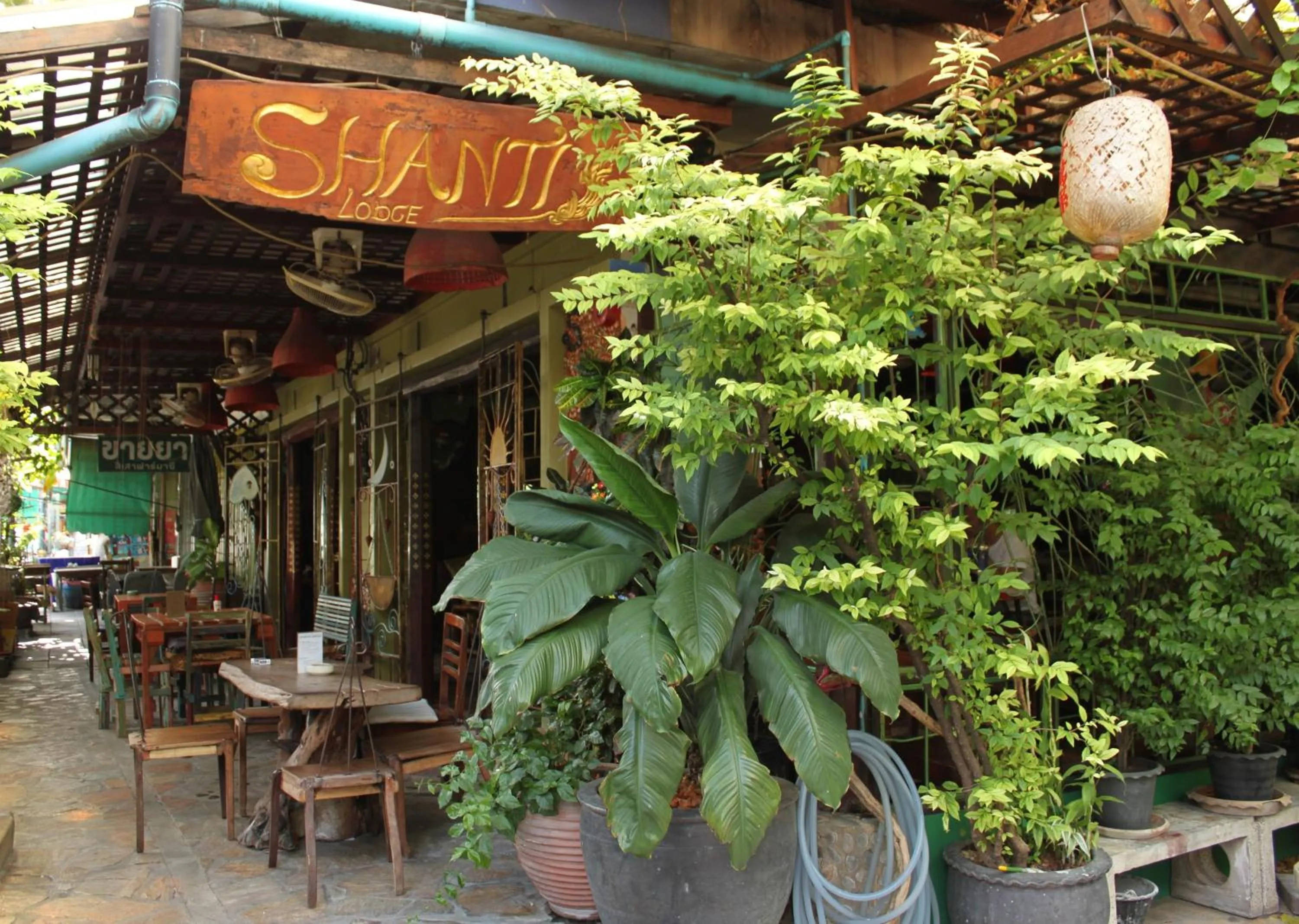 Property building in Shanti Lodge