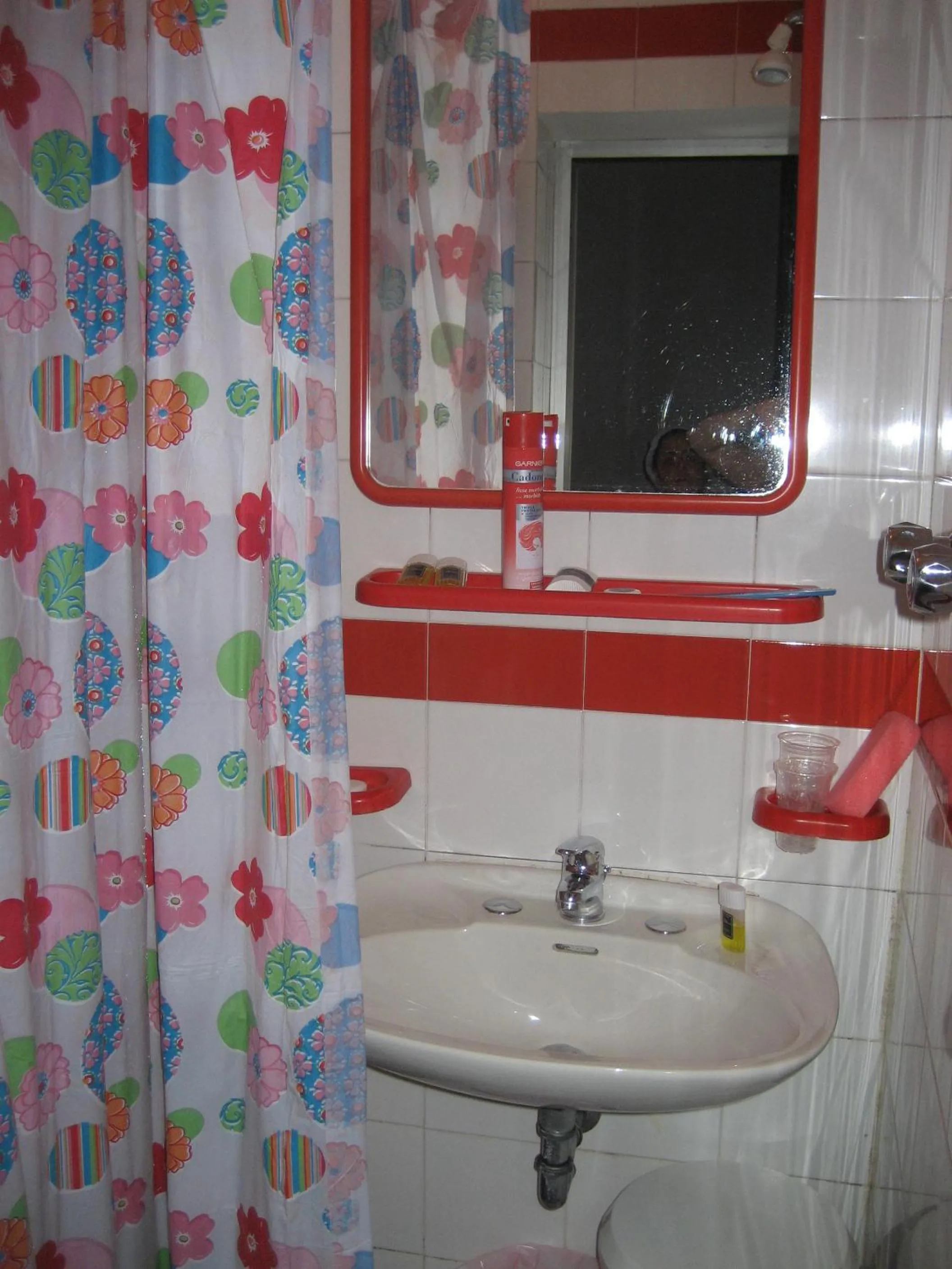 Bathroom in Hotel Niagara