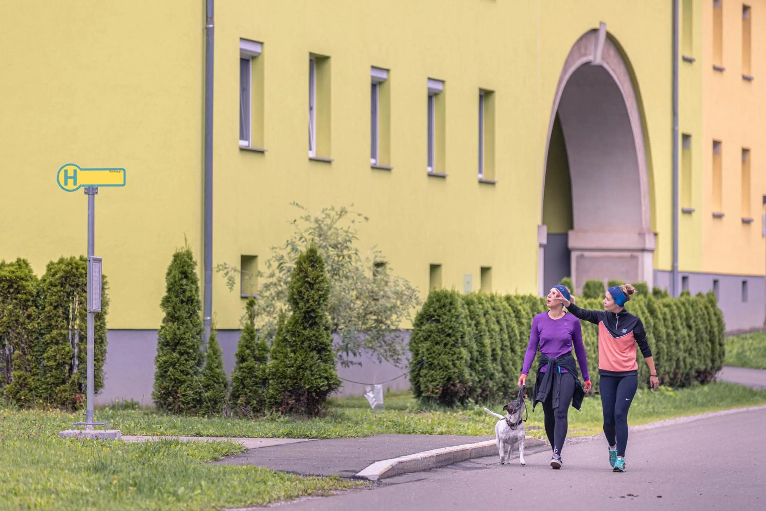 Other in Erzberg Alpin Resort by ALPS RESORTS