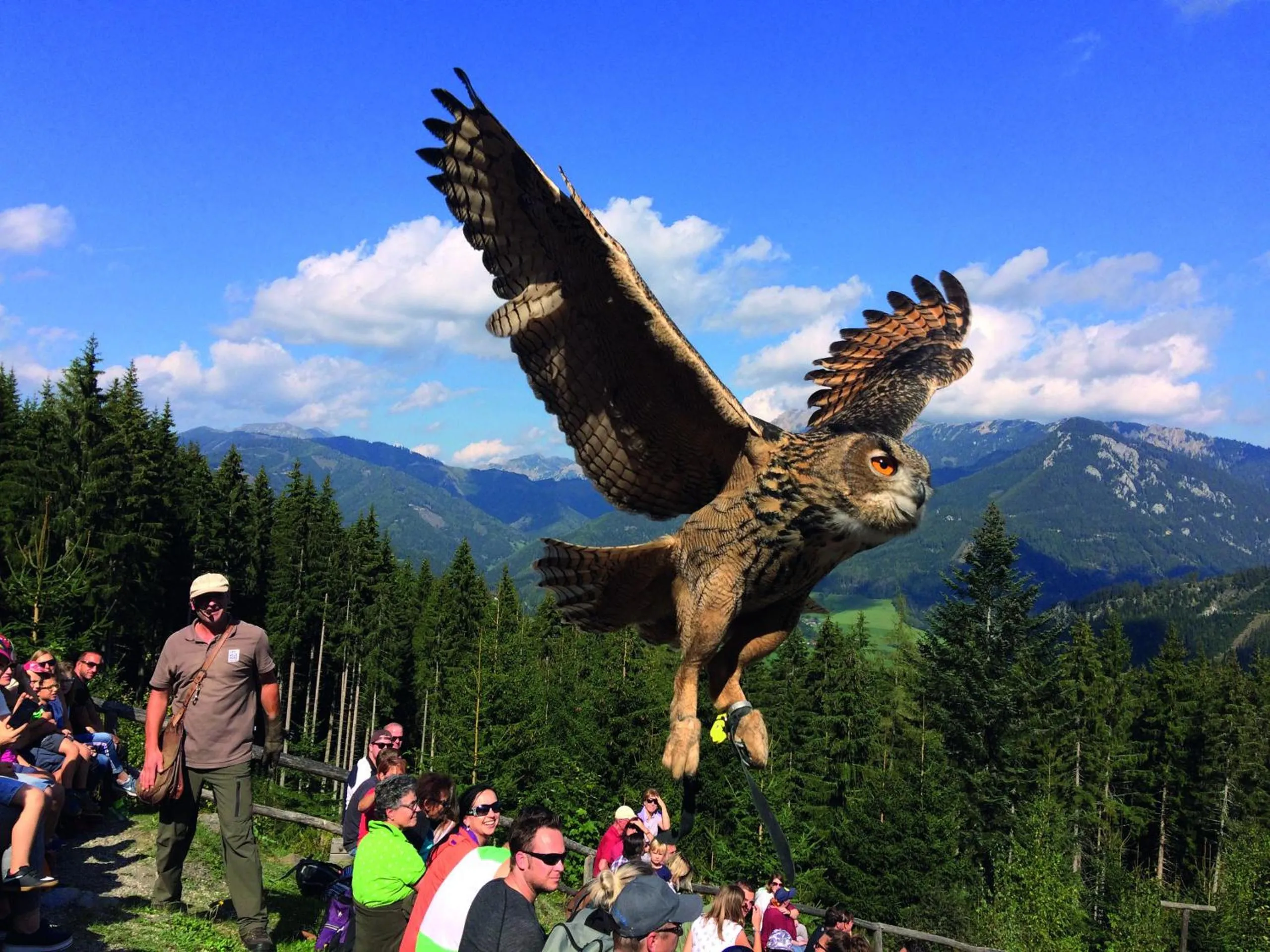 Other in Erzberg Alpin Resort by ALPS RESORTS