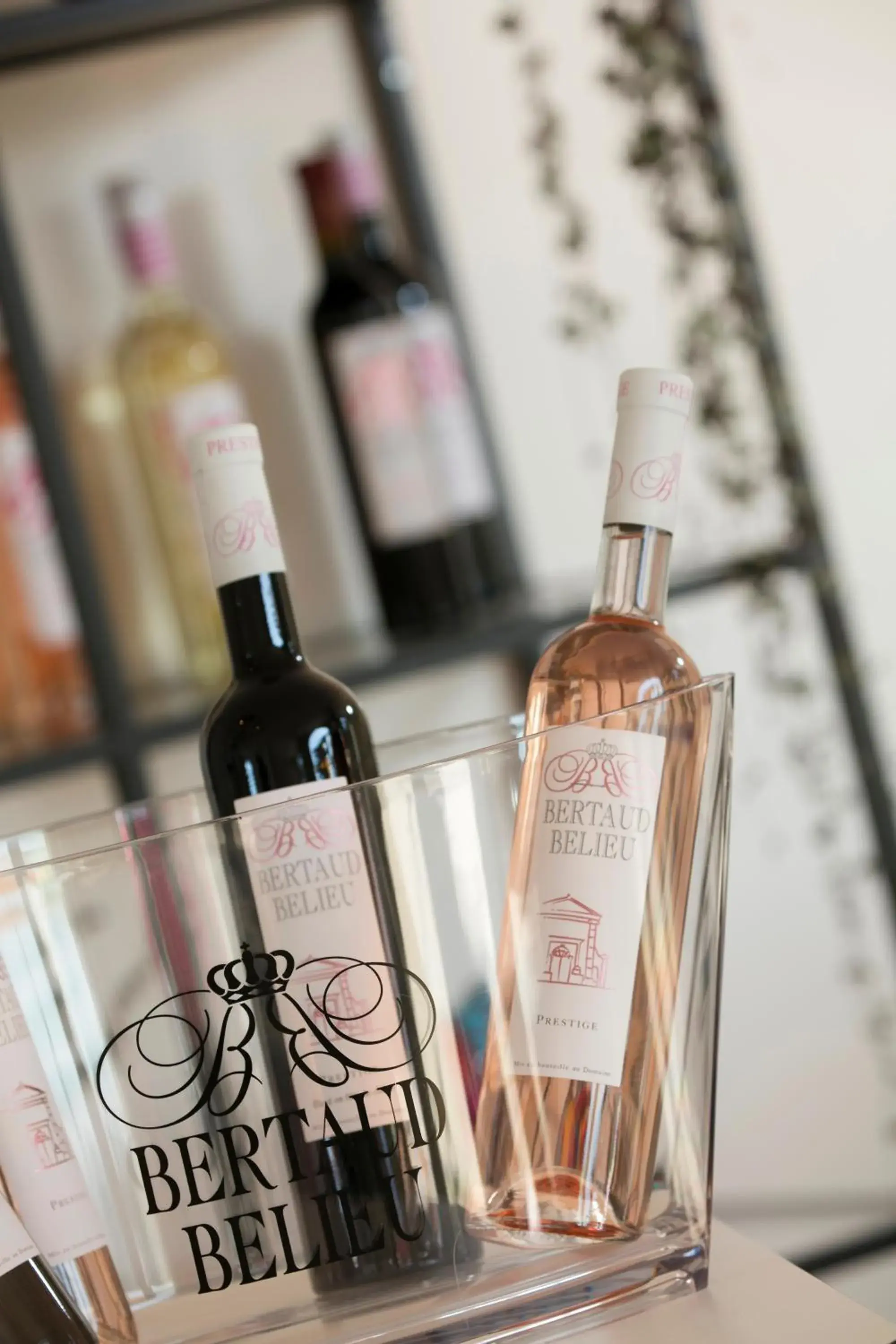 Lounge or bar in Adonis Mougins Lounge or bar in Adonis Mougins