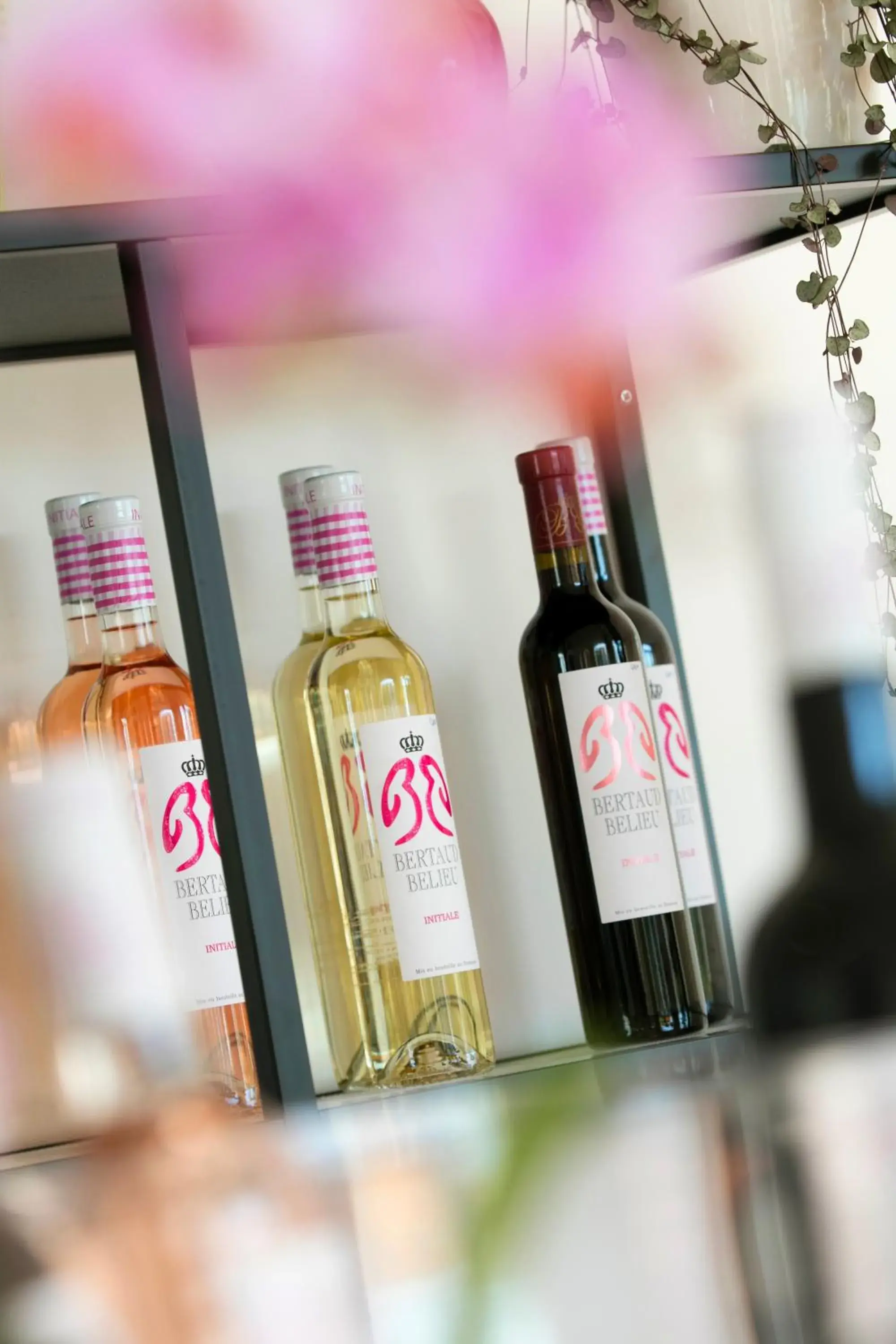 Lounge or bar in Adonis Mougins Lounge or bar in Adonis Mougins