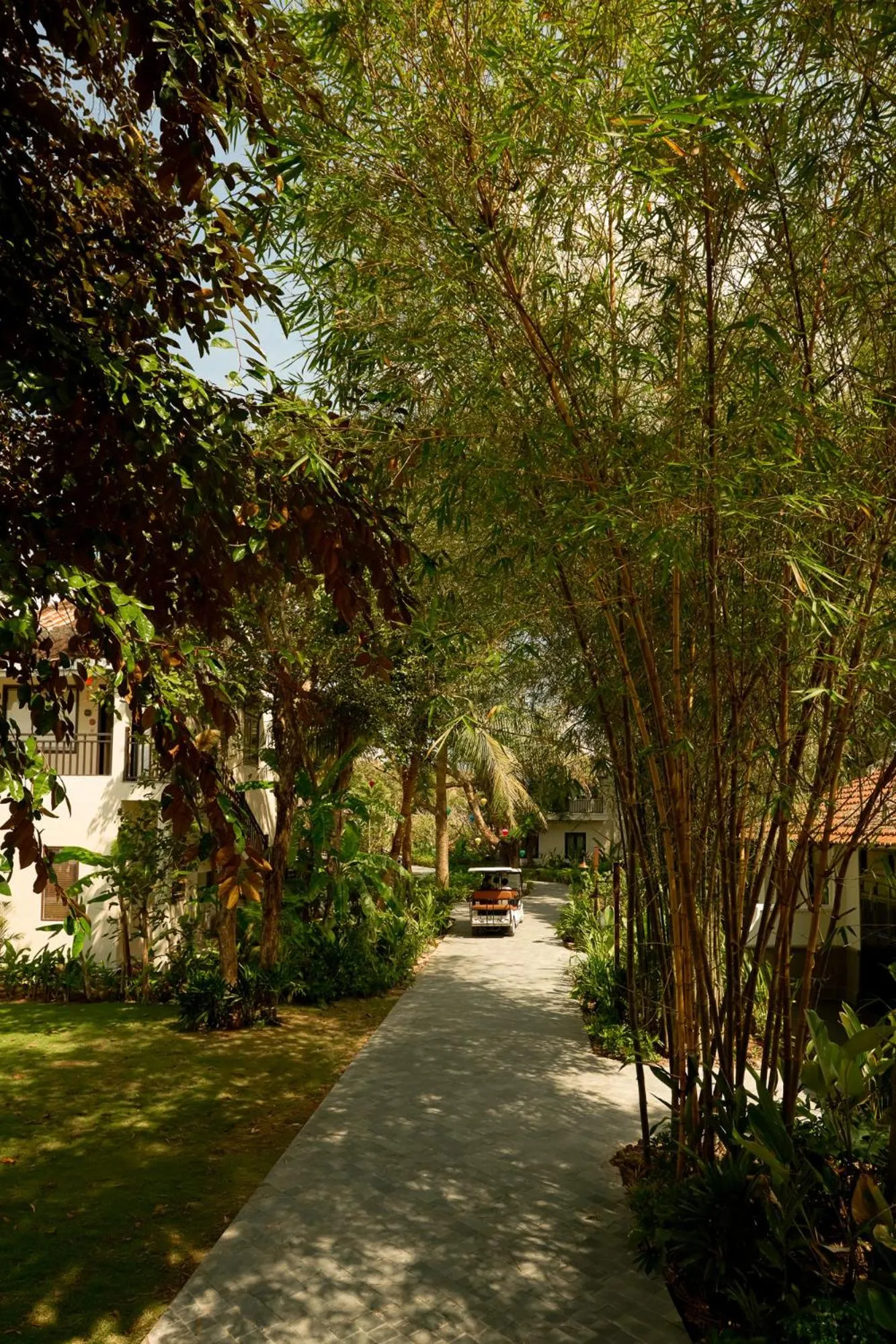 Natural landscape in Grand Signature By M Village Hoi An Resort