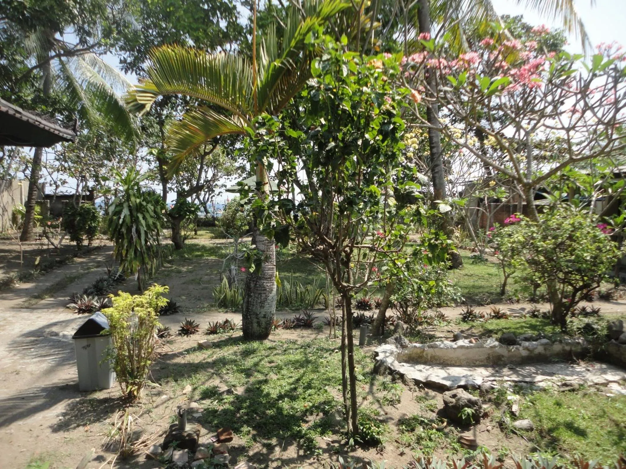 Garden in Pakuna Beach