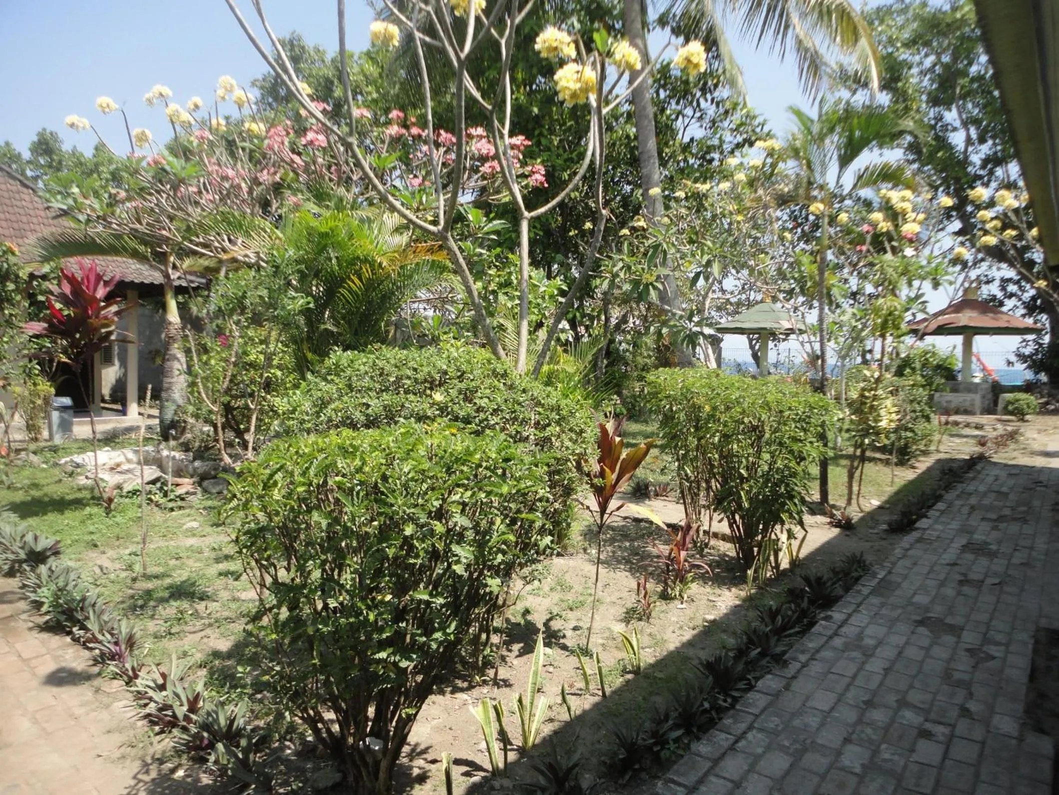 Garden in Pakuna Beach