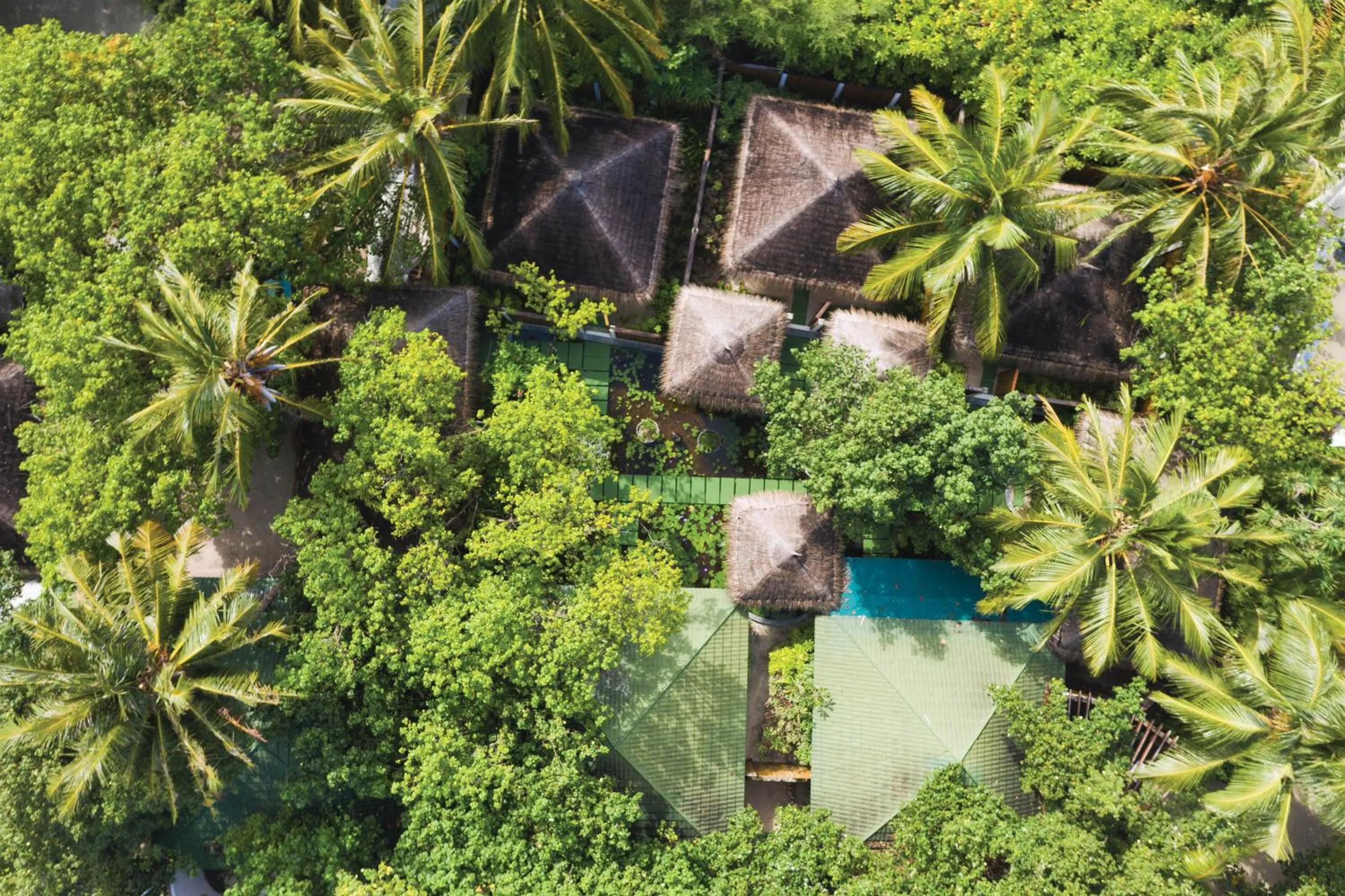 Natural landscape in OBLU NATURE Helengeli-All-Inclusive with free Transfers