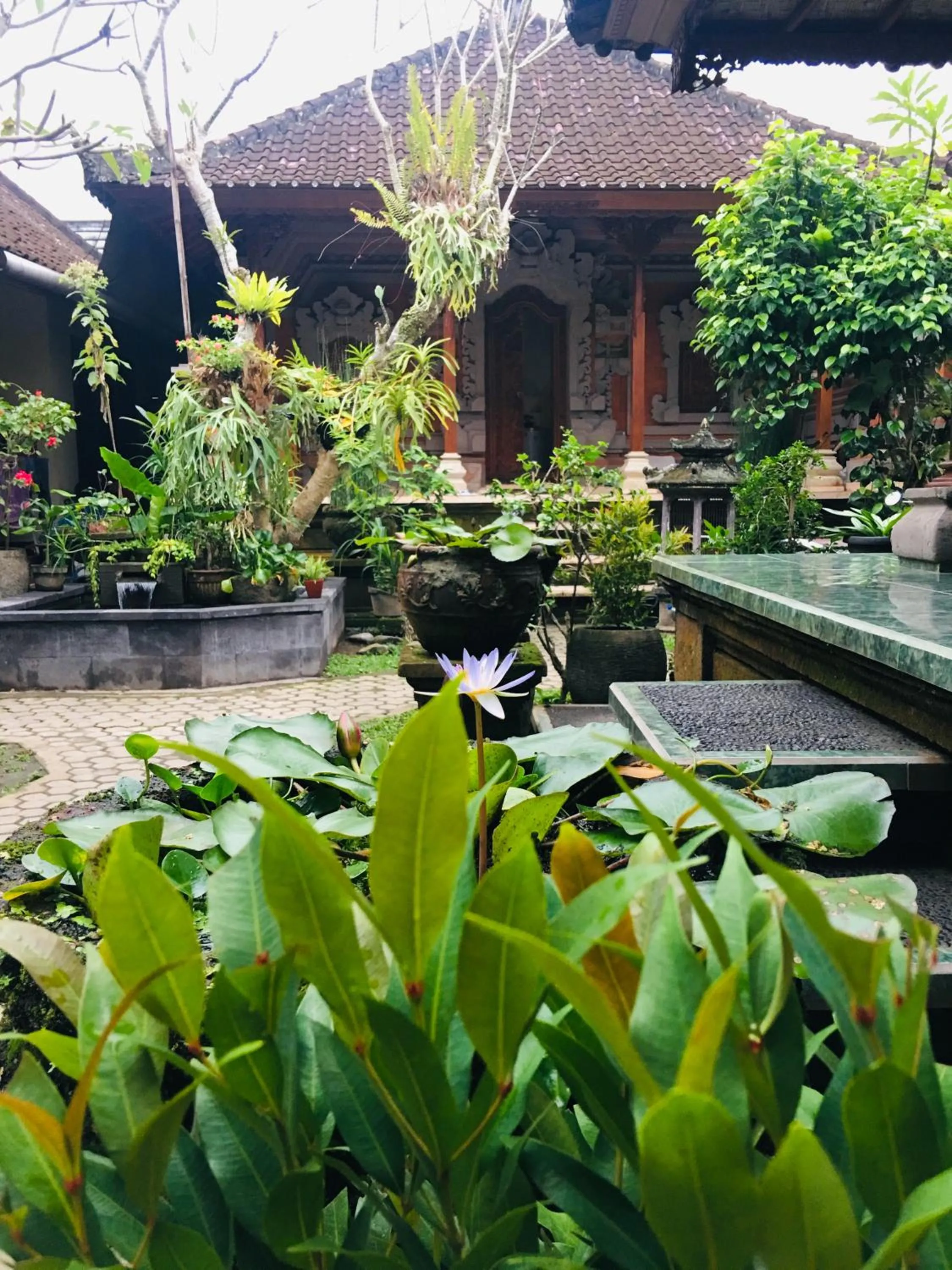 Day in Wina Ubud B&B