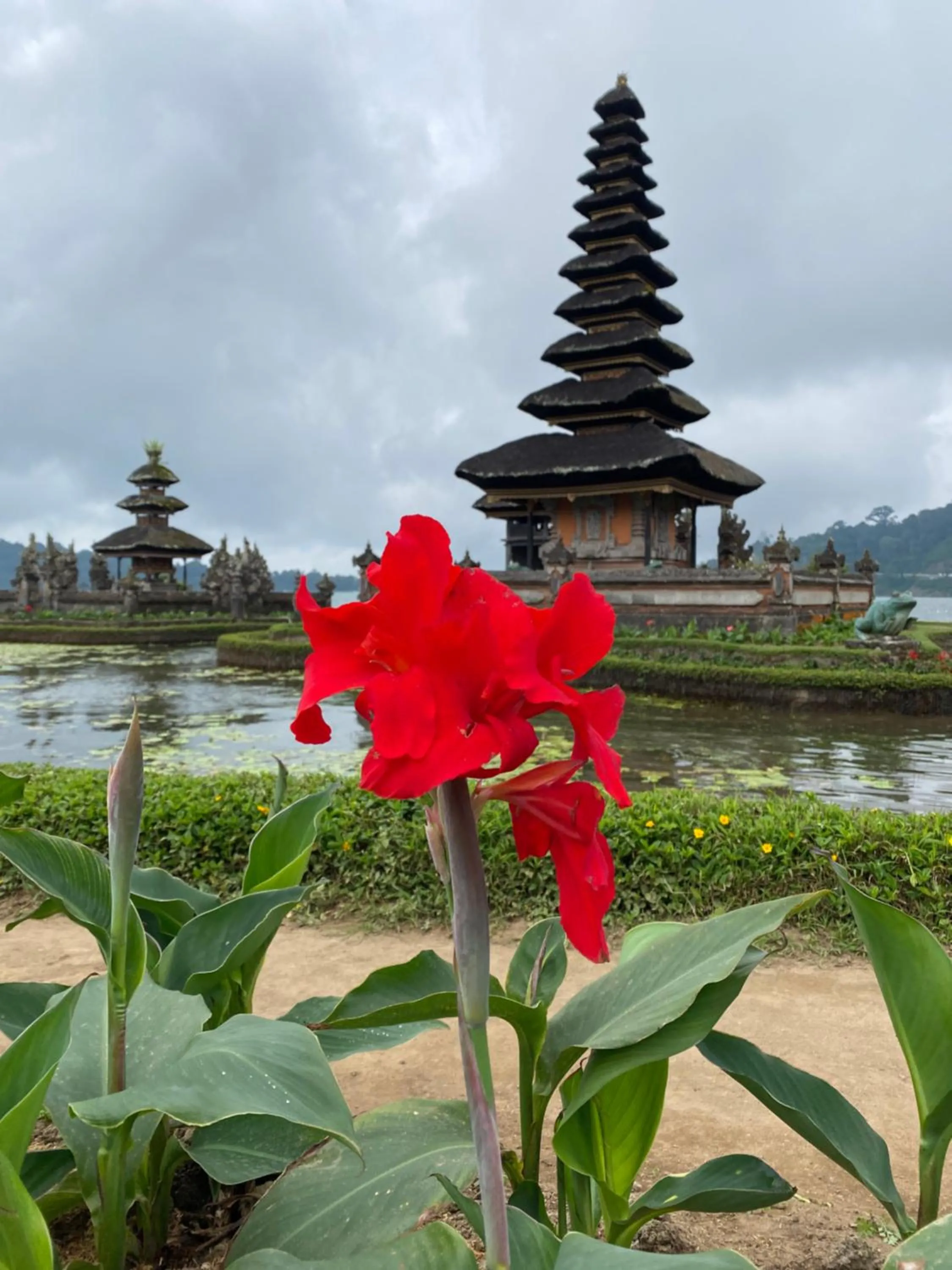 Natural landscape in Wina Ubud B&B