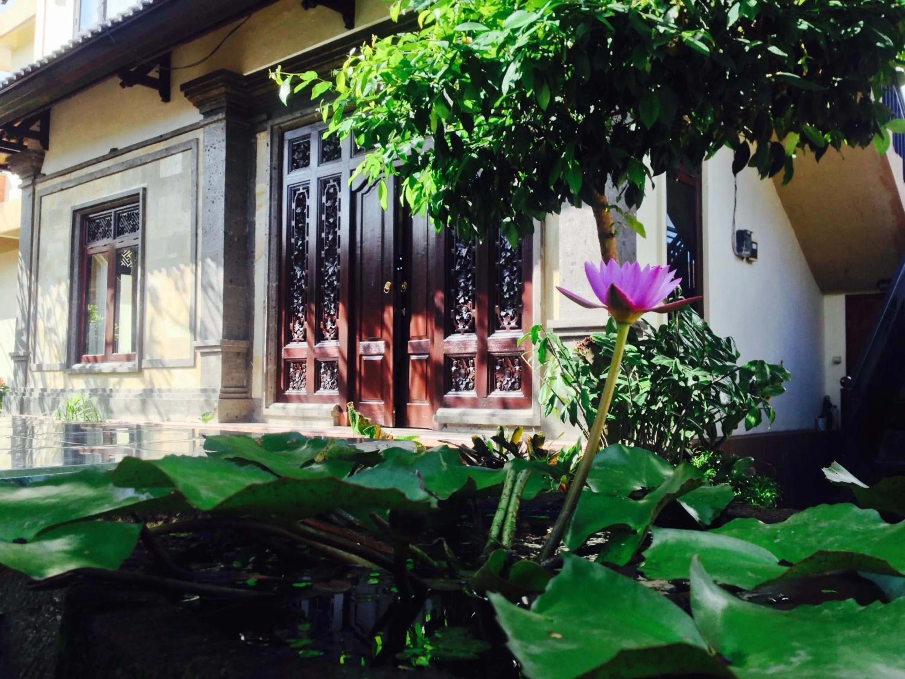 Property building in Wina Ubud B&B