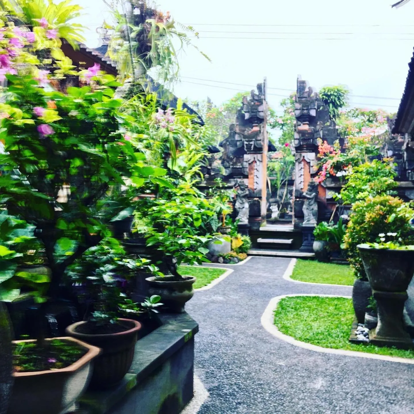 Property building in Wina Ubud B&B