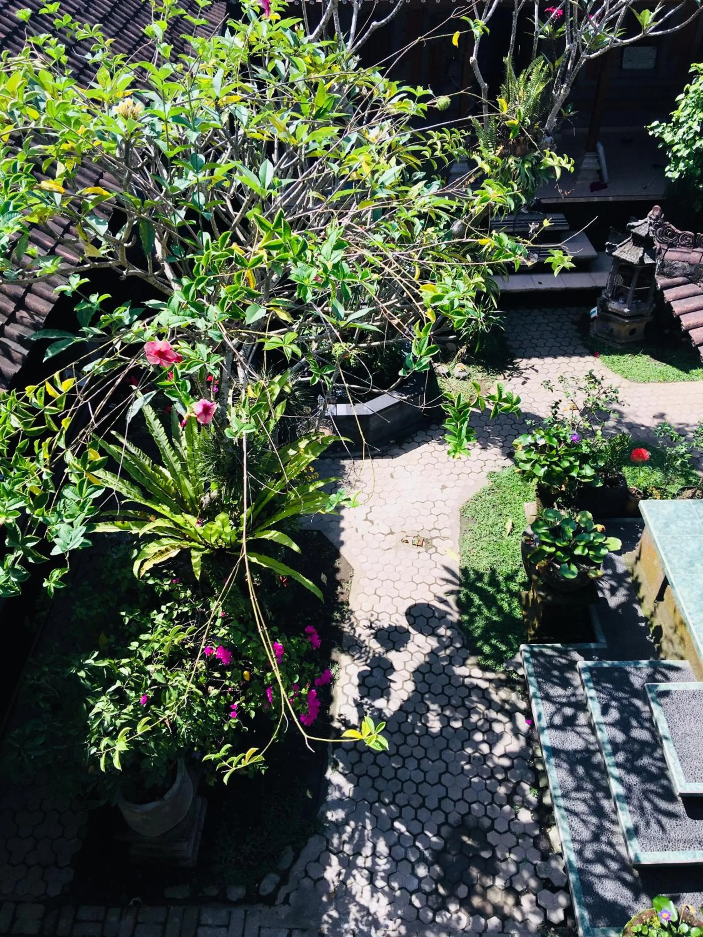 Summer in Wina Ubud B&B