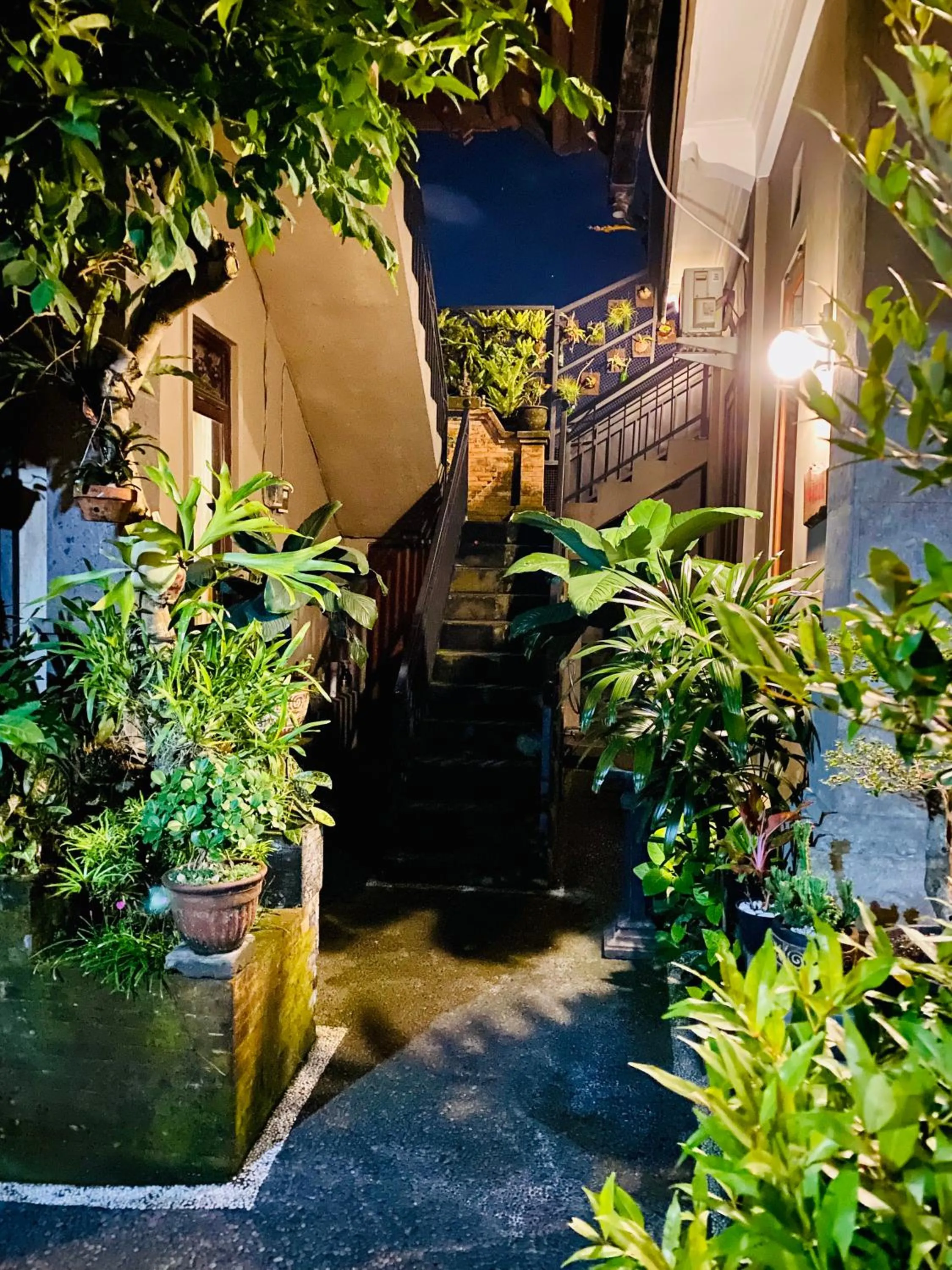 Property building in Wina Ubud B&B