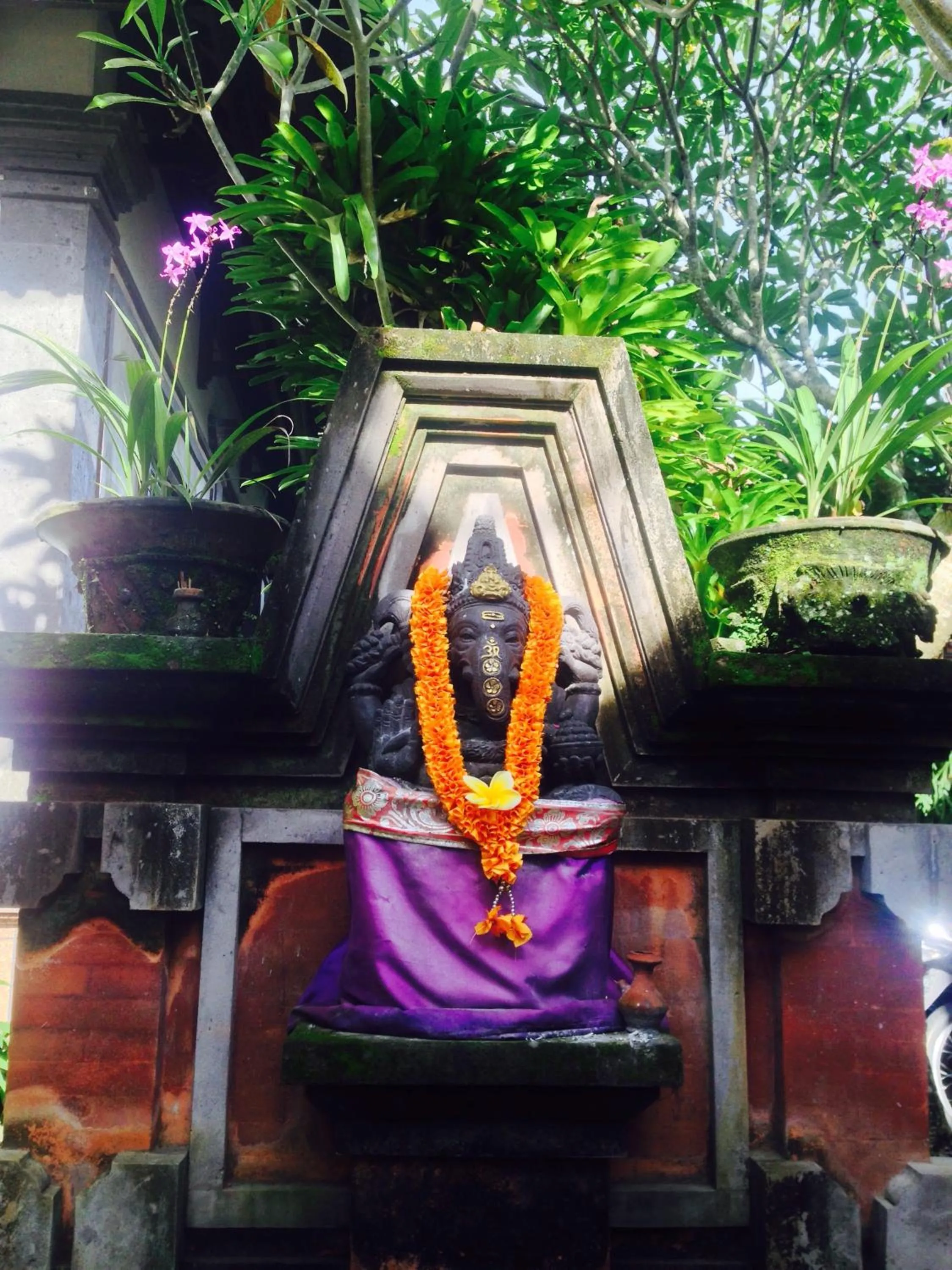 Garden view in Wina Ubud B&B