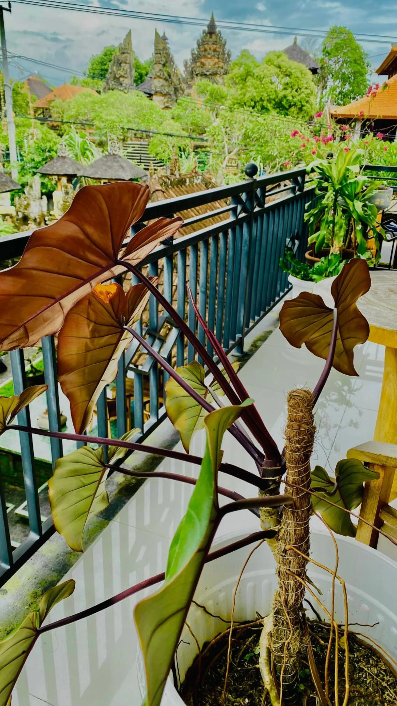 Garden view in Wina Ubud B&B
