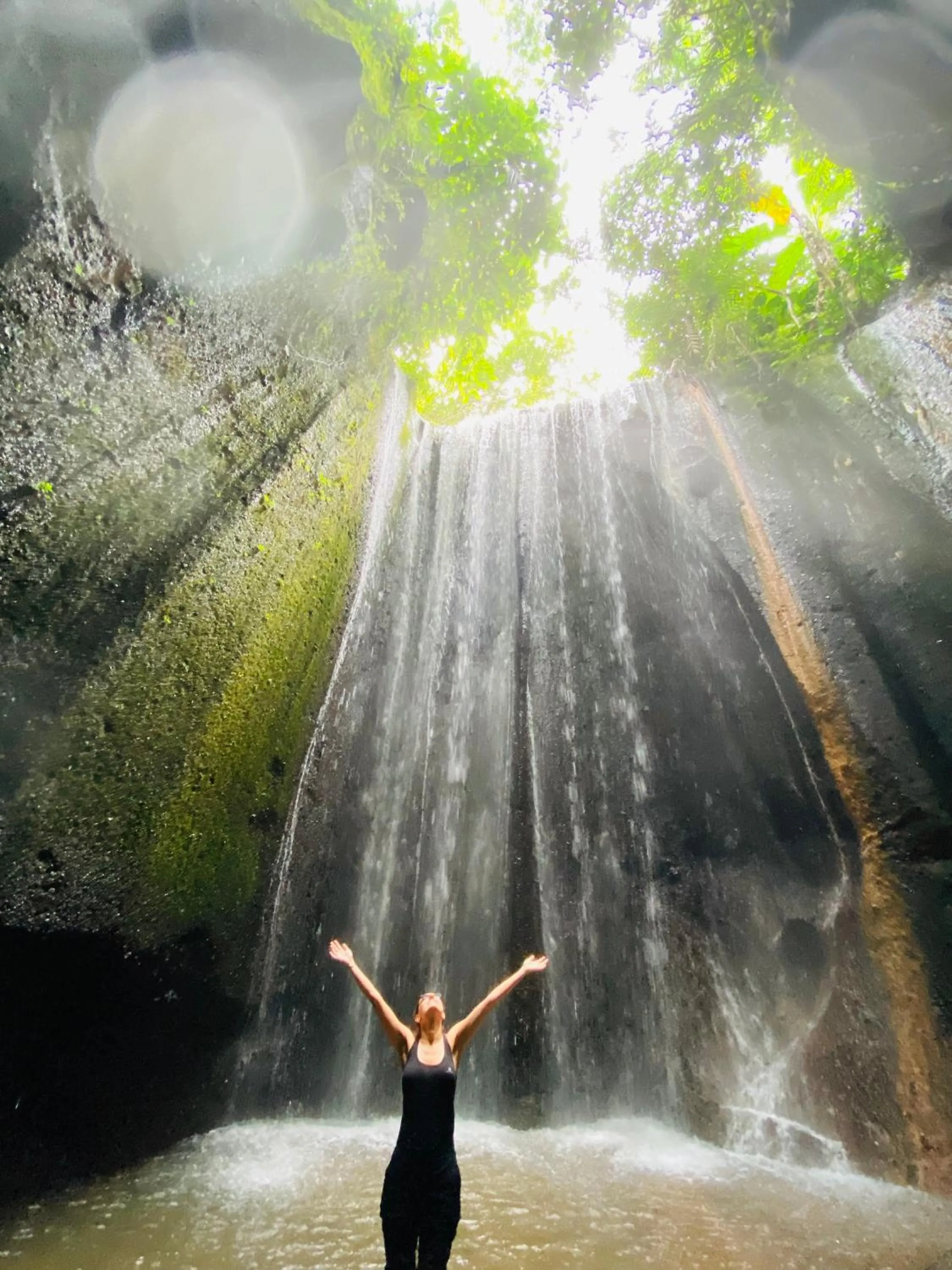 Natural landscape in Wina Ubud B&B