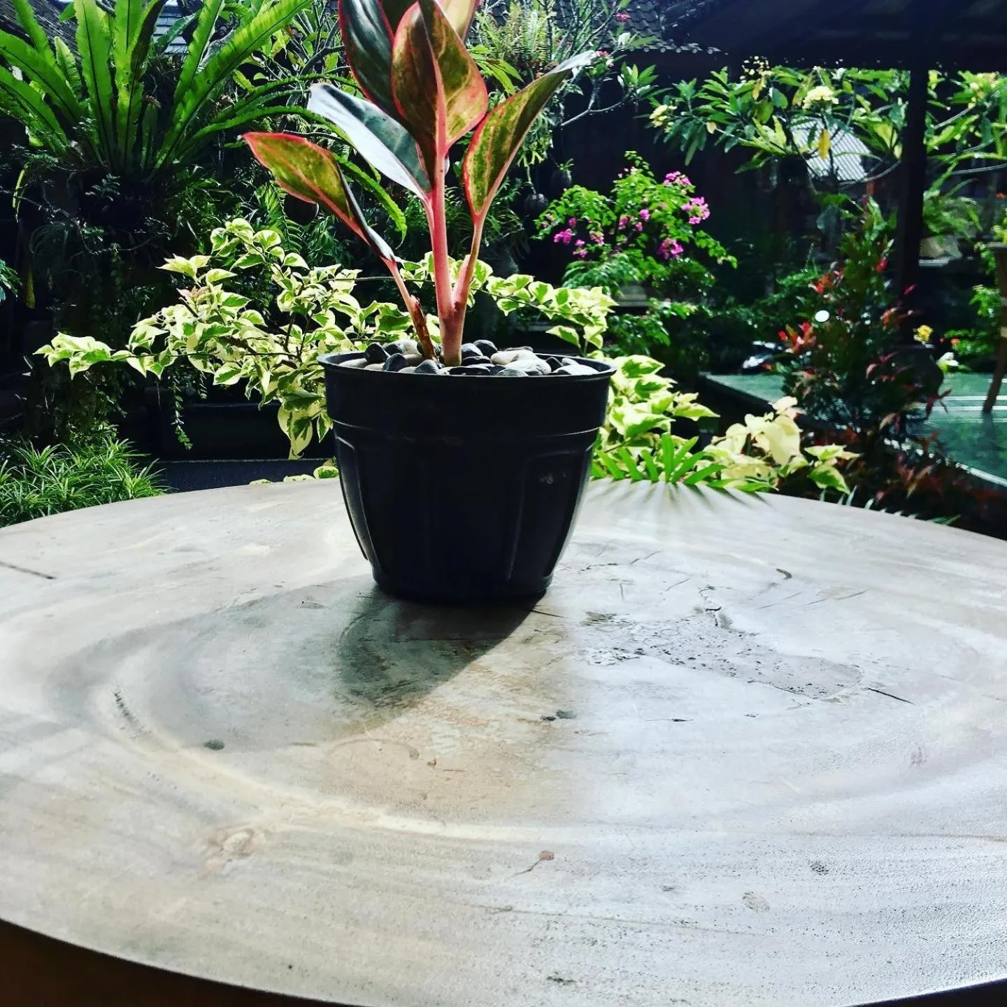 Property building in Wina Ubud B&B